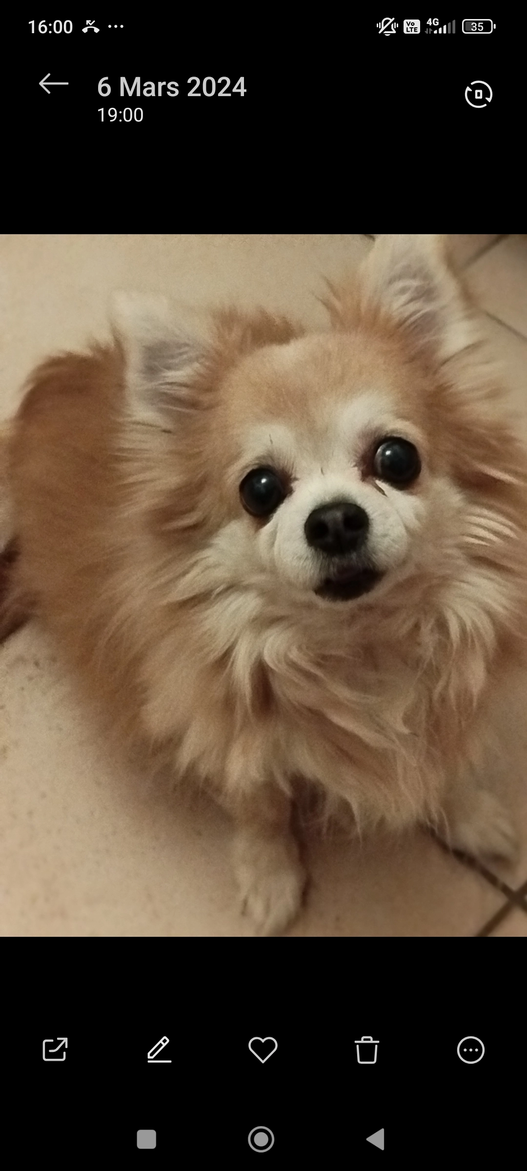 Cherry  - Chemin Du Môlan, Cologny