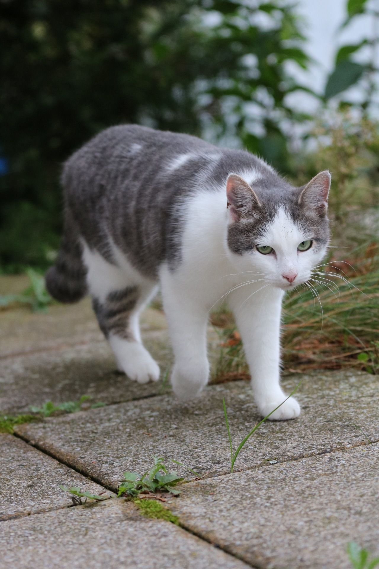 Nikita - Weg nach Mellensee, Zossen