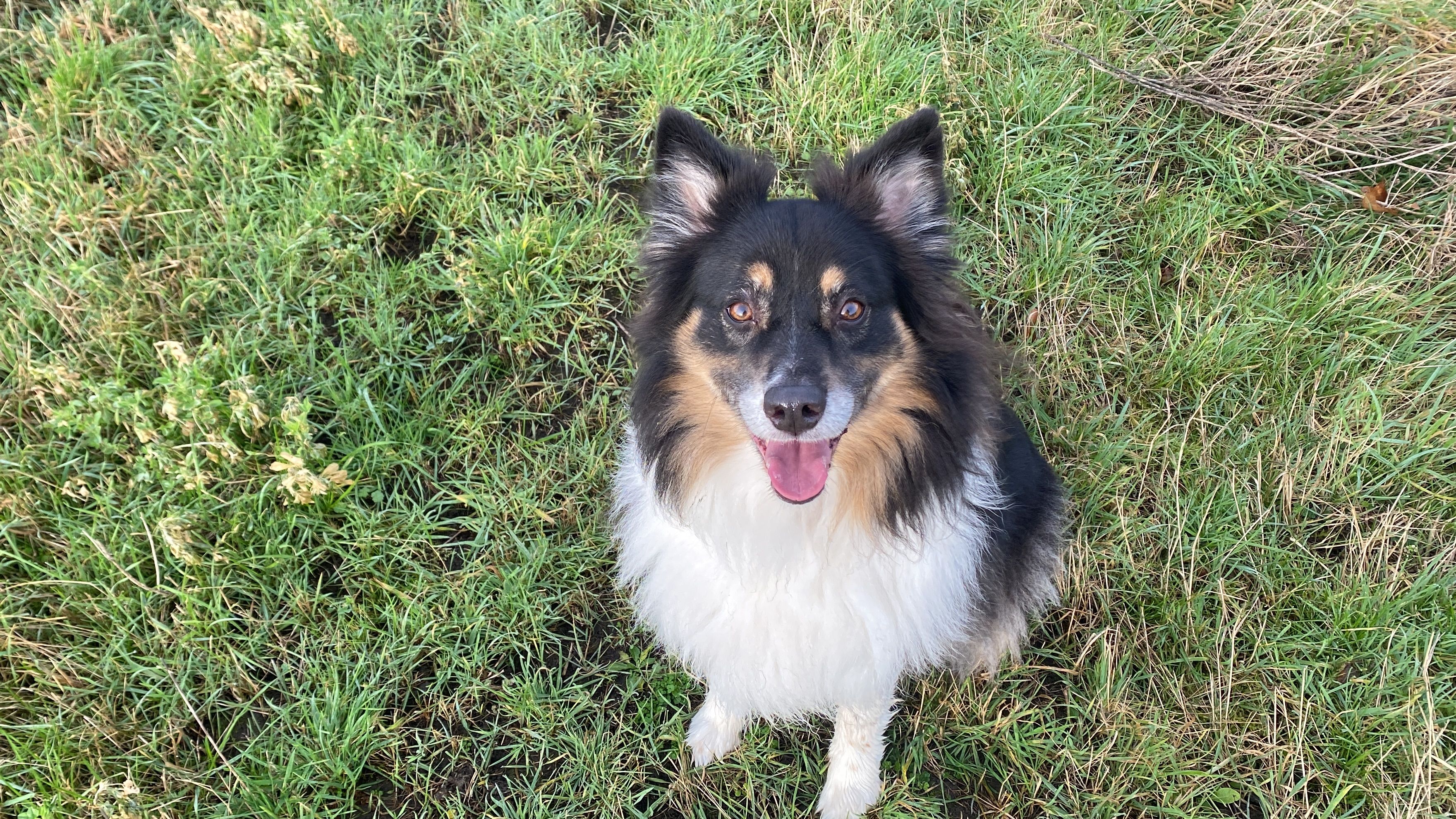 Salhy  - Rue Albert 1er, Jemeppe-sur-Sambre