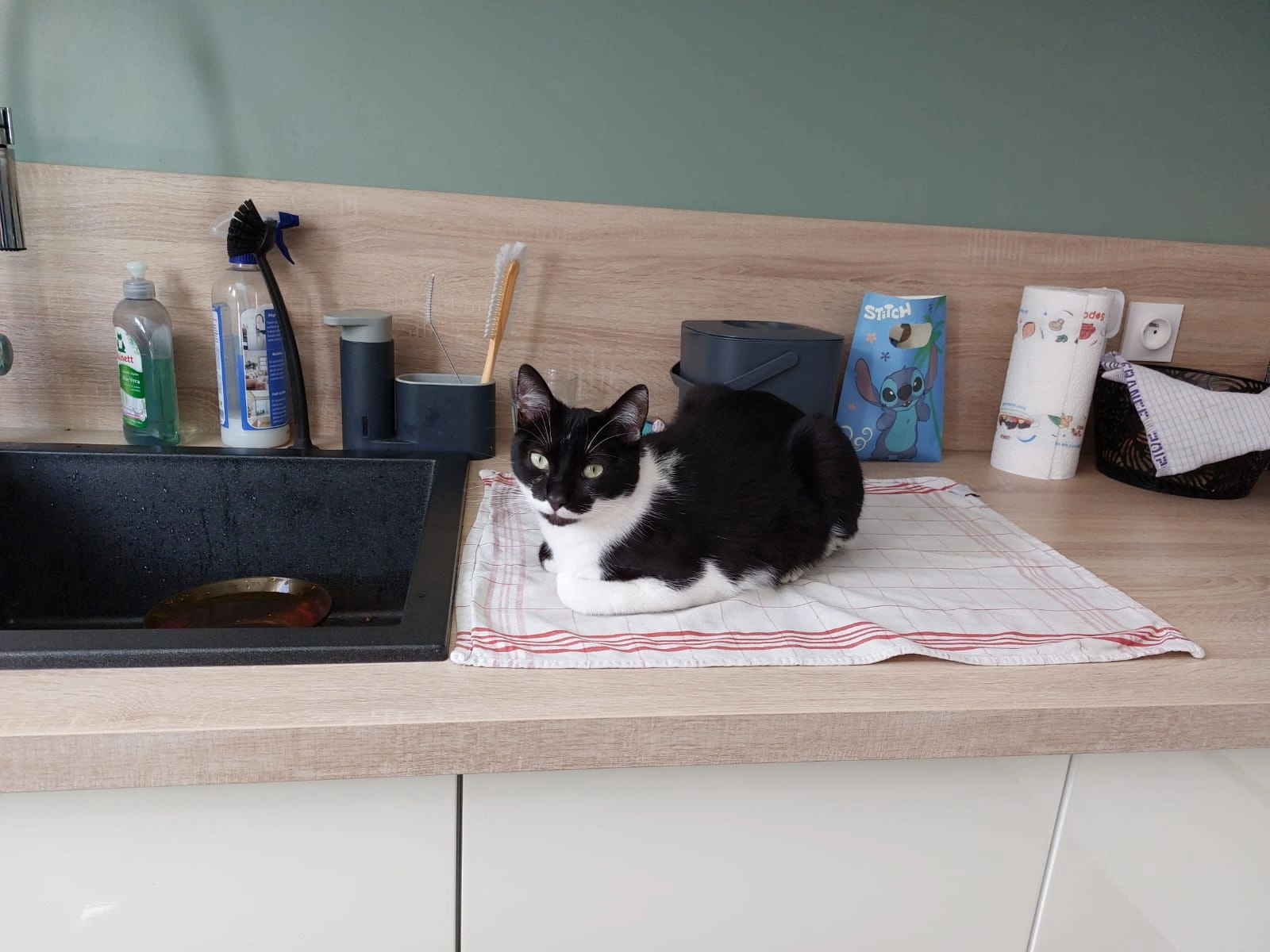 Madonna - Rue du Maréchal Foch, La Chapelle-sur-Erdre