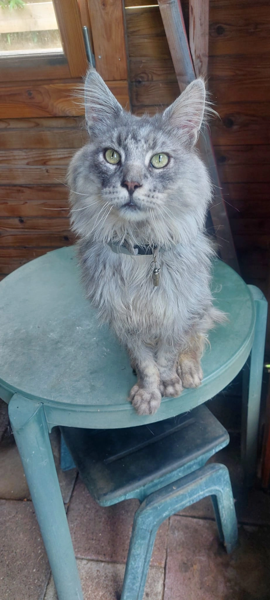 Vasyl - Tramwijk Zuidzijde, Nieuw-Weerdinge