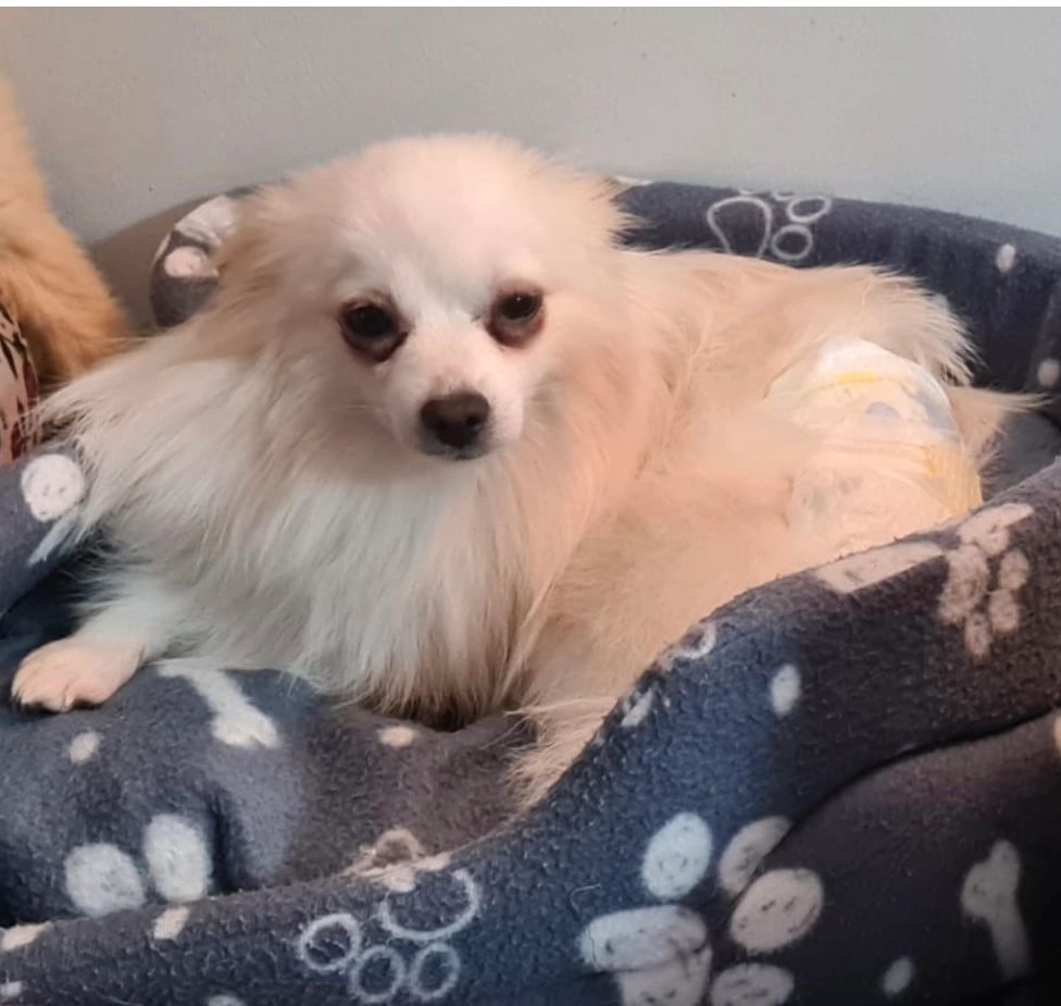 Luna - M16 7, Manchester