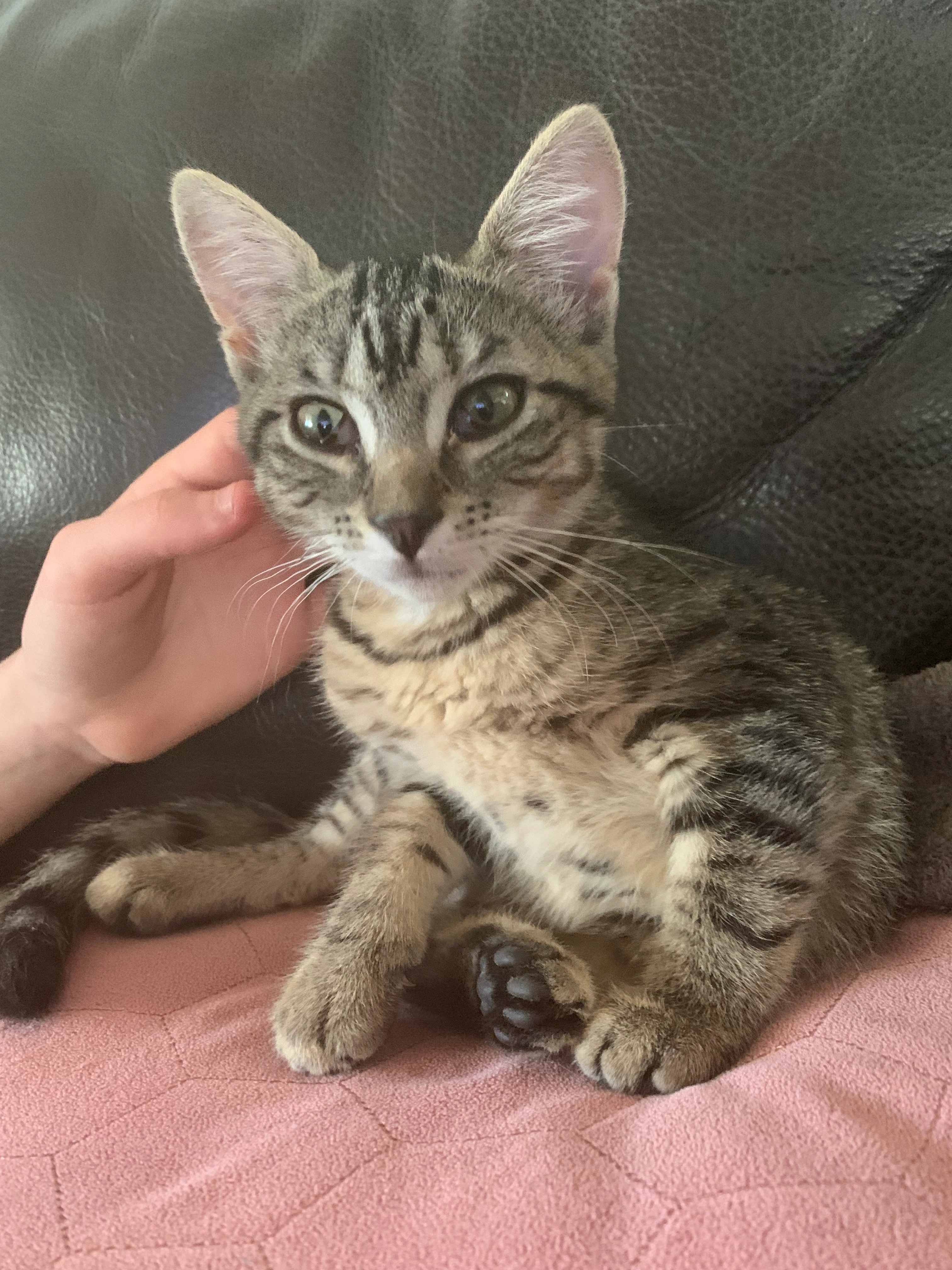 Maya - Rue de la Fontaine, Évette-Salbert