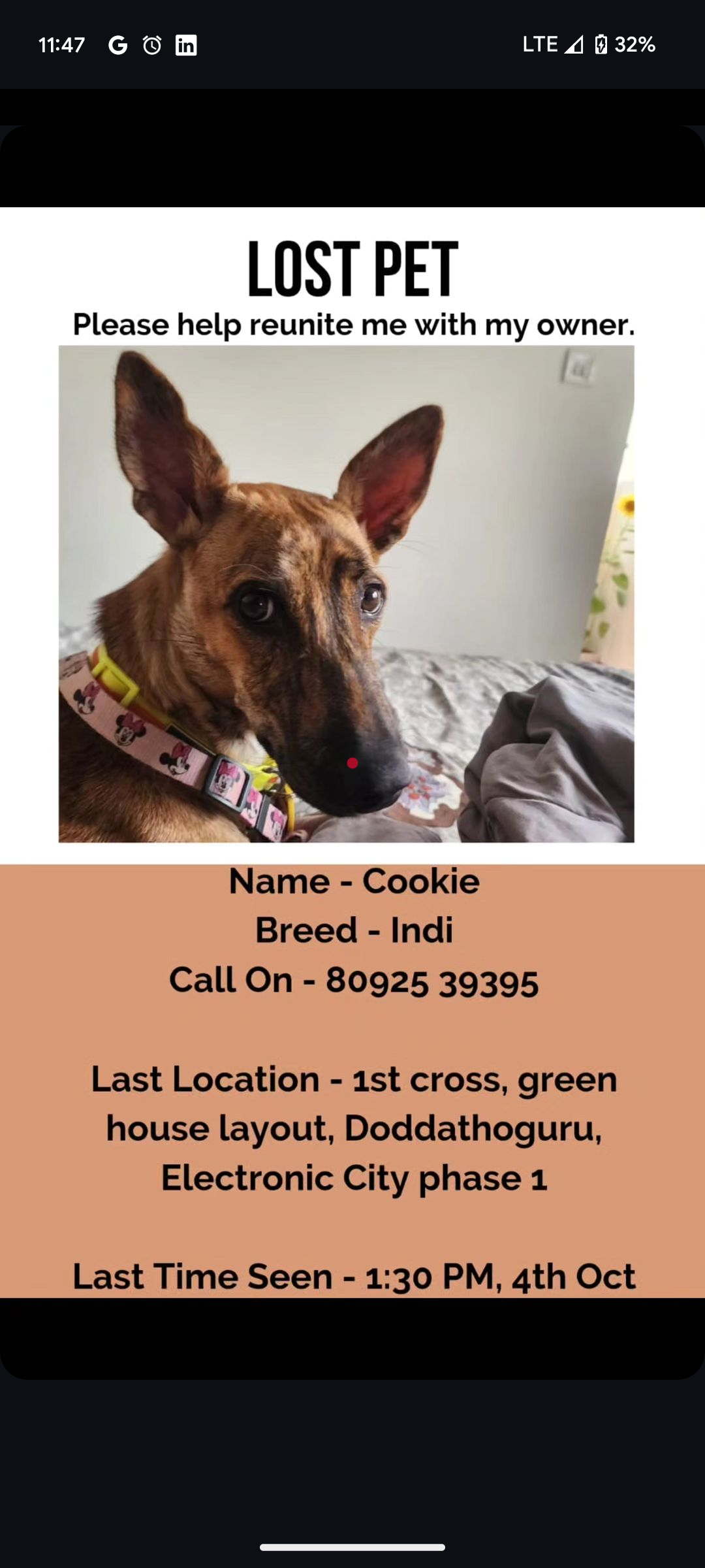 Cookie - 1st Cross Road, Bengaluru