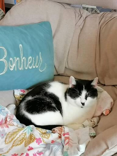 Coussinet  - Impasse du Mine, Plonéour-Lanvern