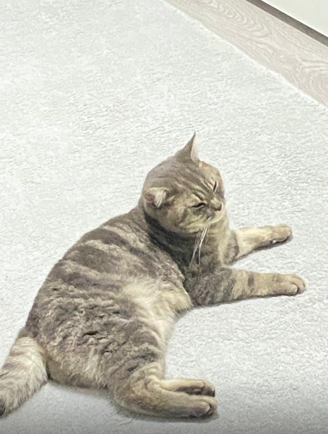 Duman  - Bucheckernweg, Sinsheim