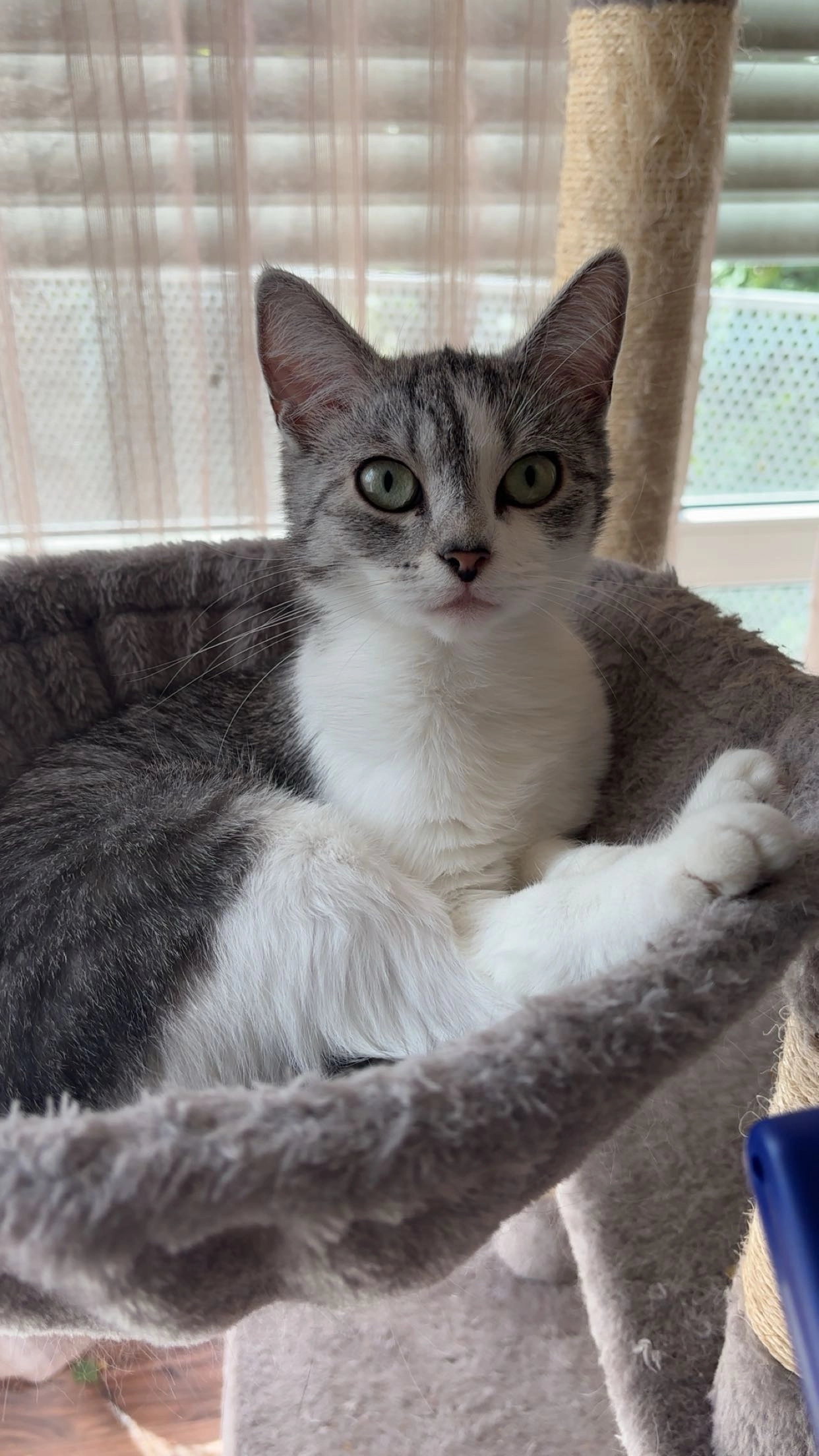 Mora  - Humboldtstraße, Leopoldshöhe