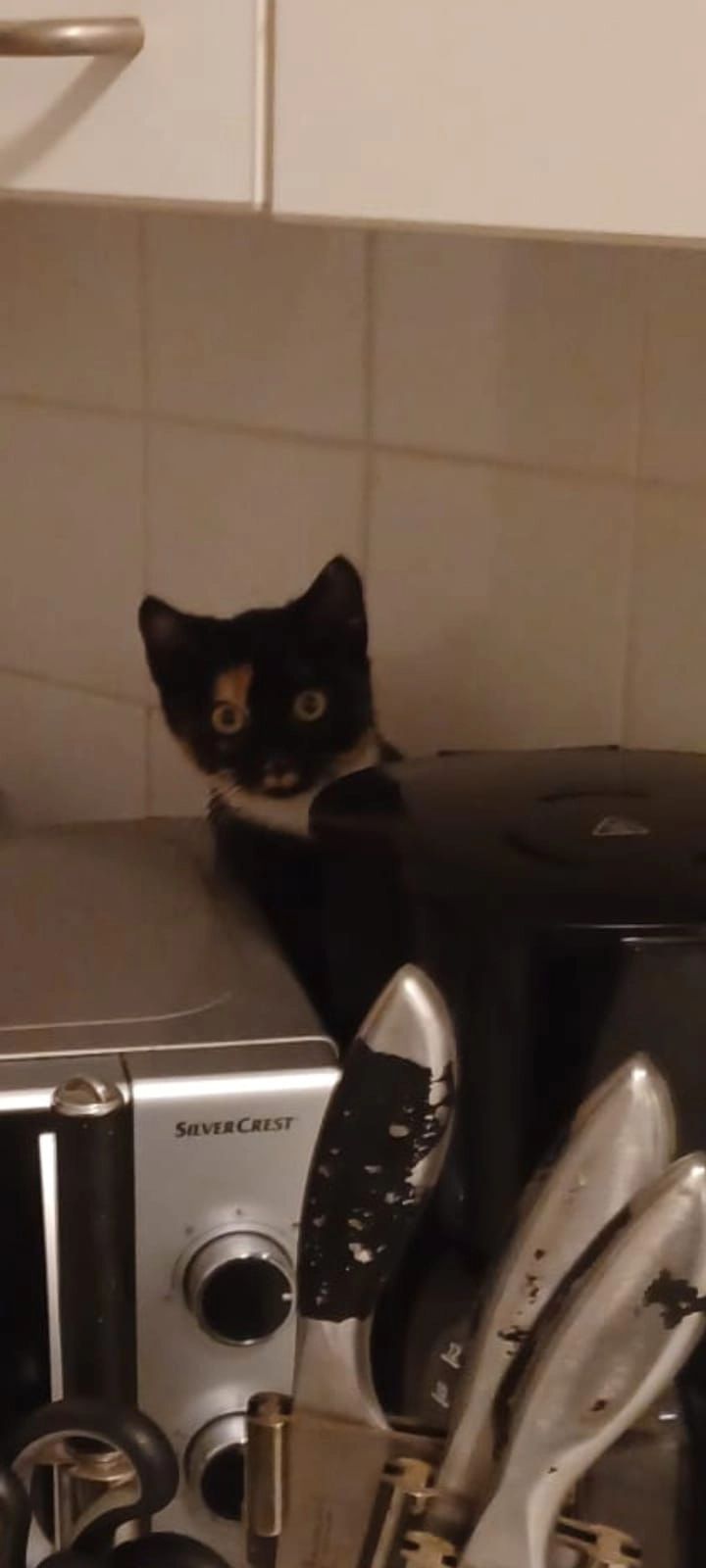 Nala - Rehrstieg 48, Hamburg