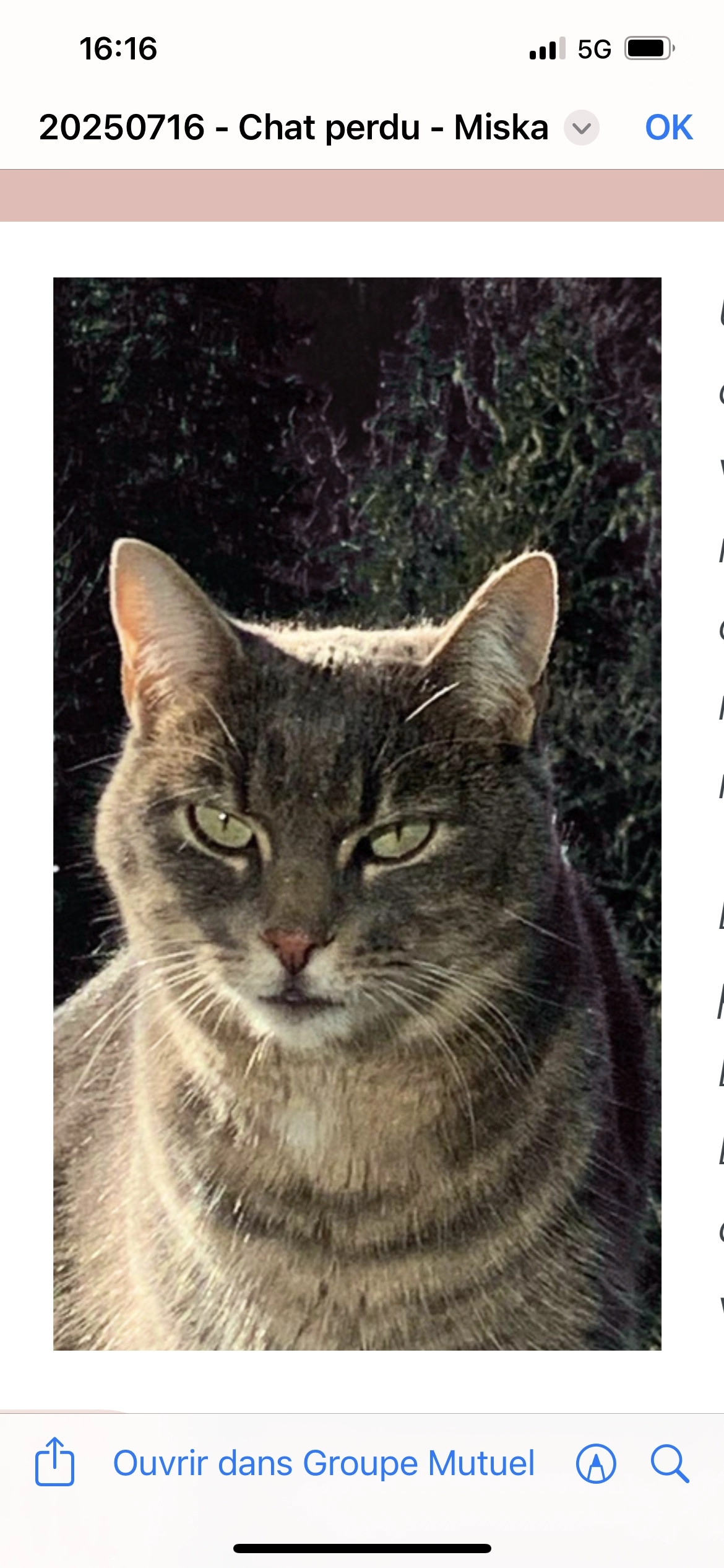 Miska - Route De Lovens, Onnens