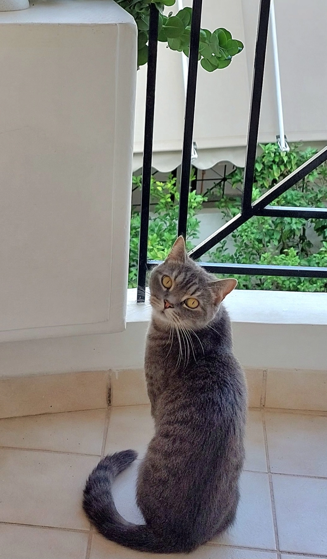 Chloe - Tjørnehaven 6, Taastrup