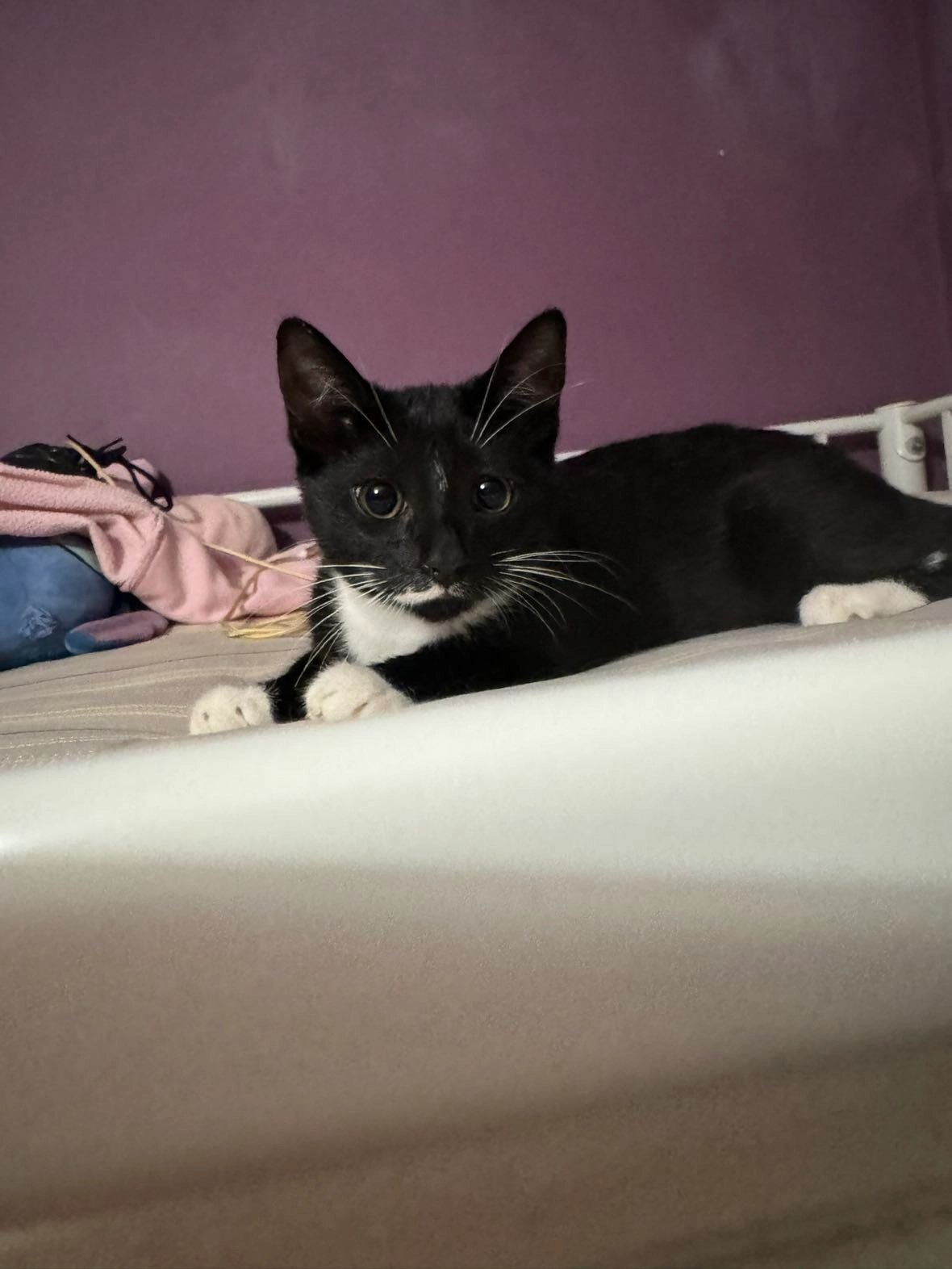 Martha  - Saint Paul's Road, Middlesbrough