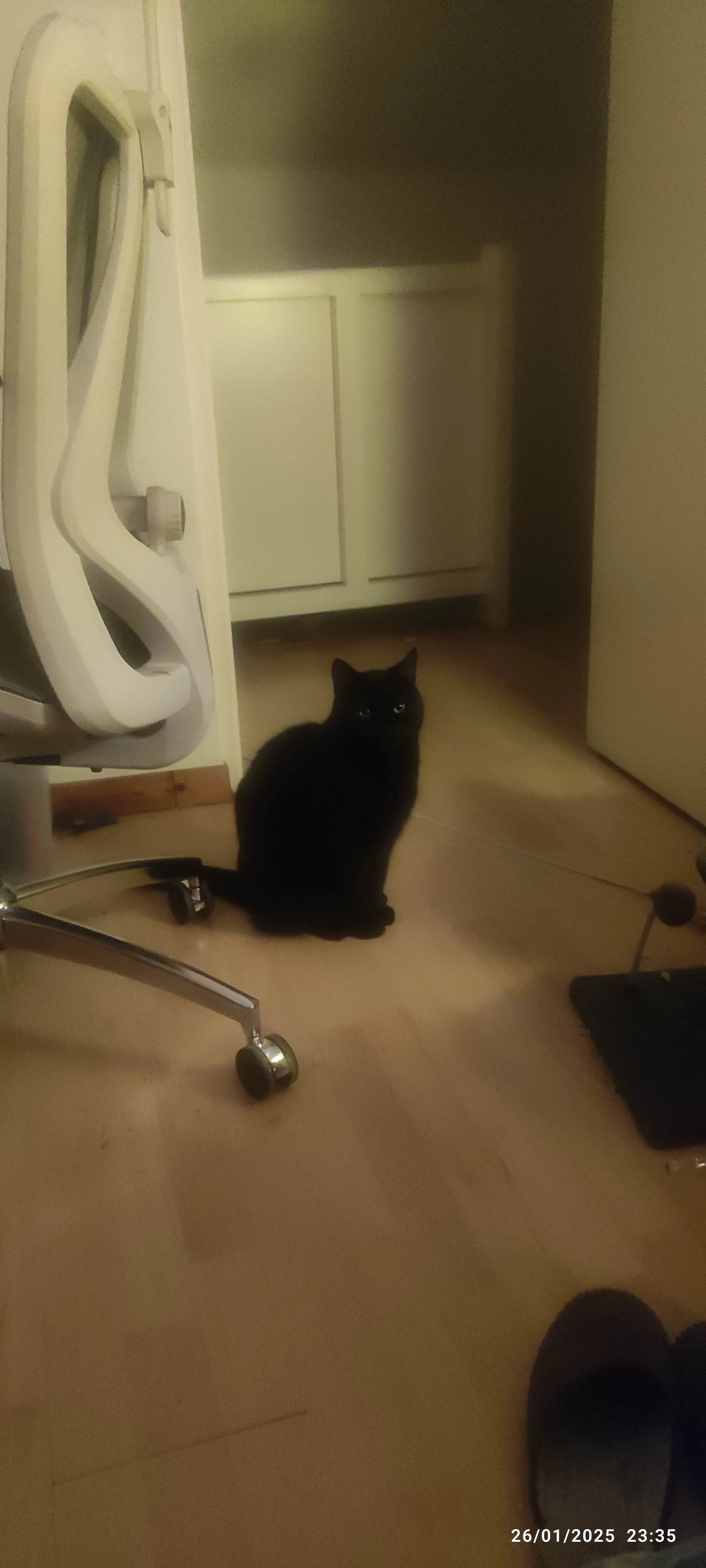 Oda - Rue de Sable, Le Mans