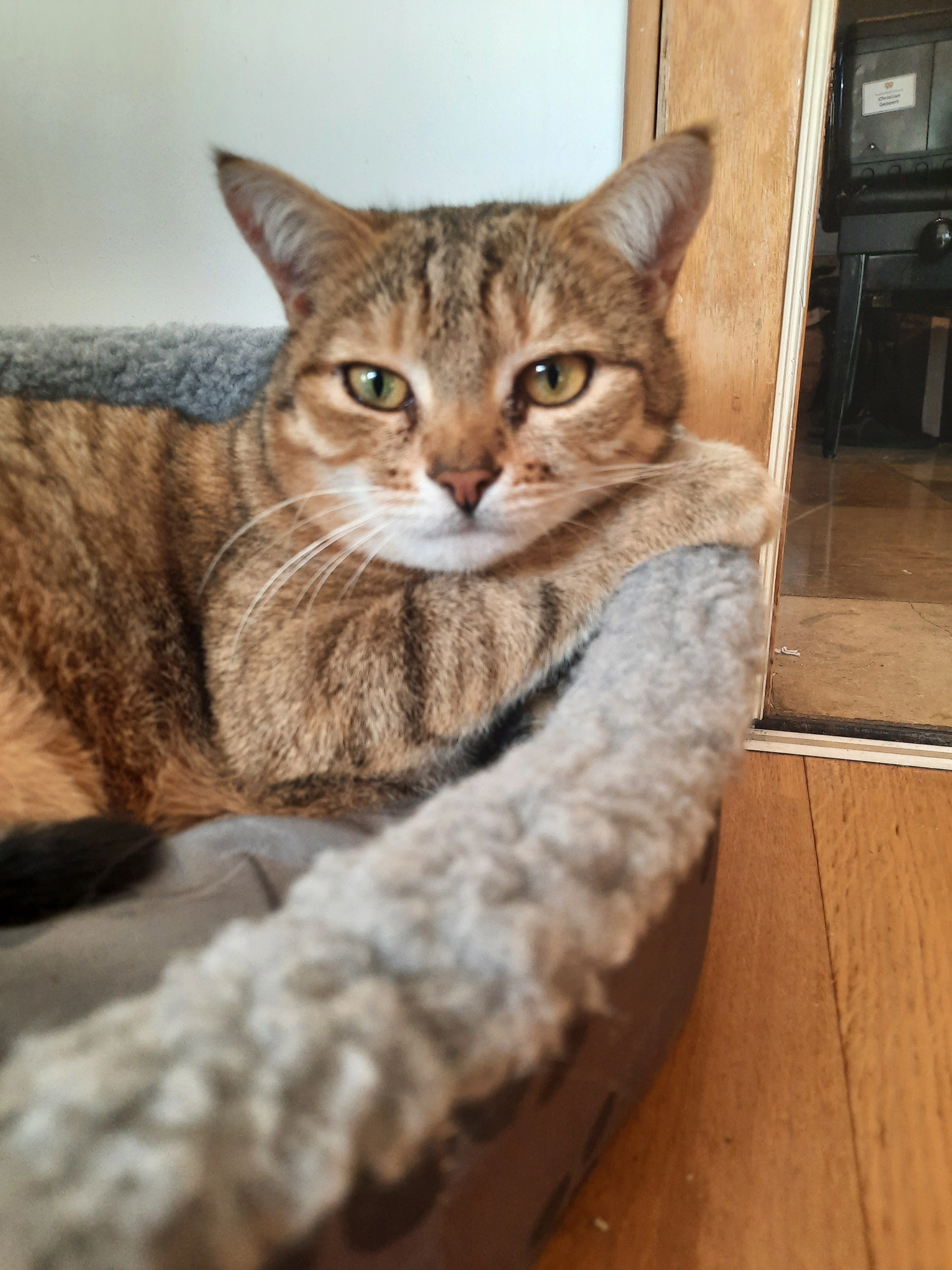 Flora - Mainburger Straße, Freising