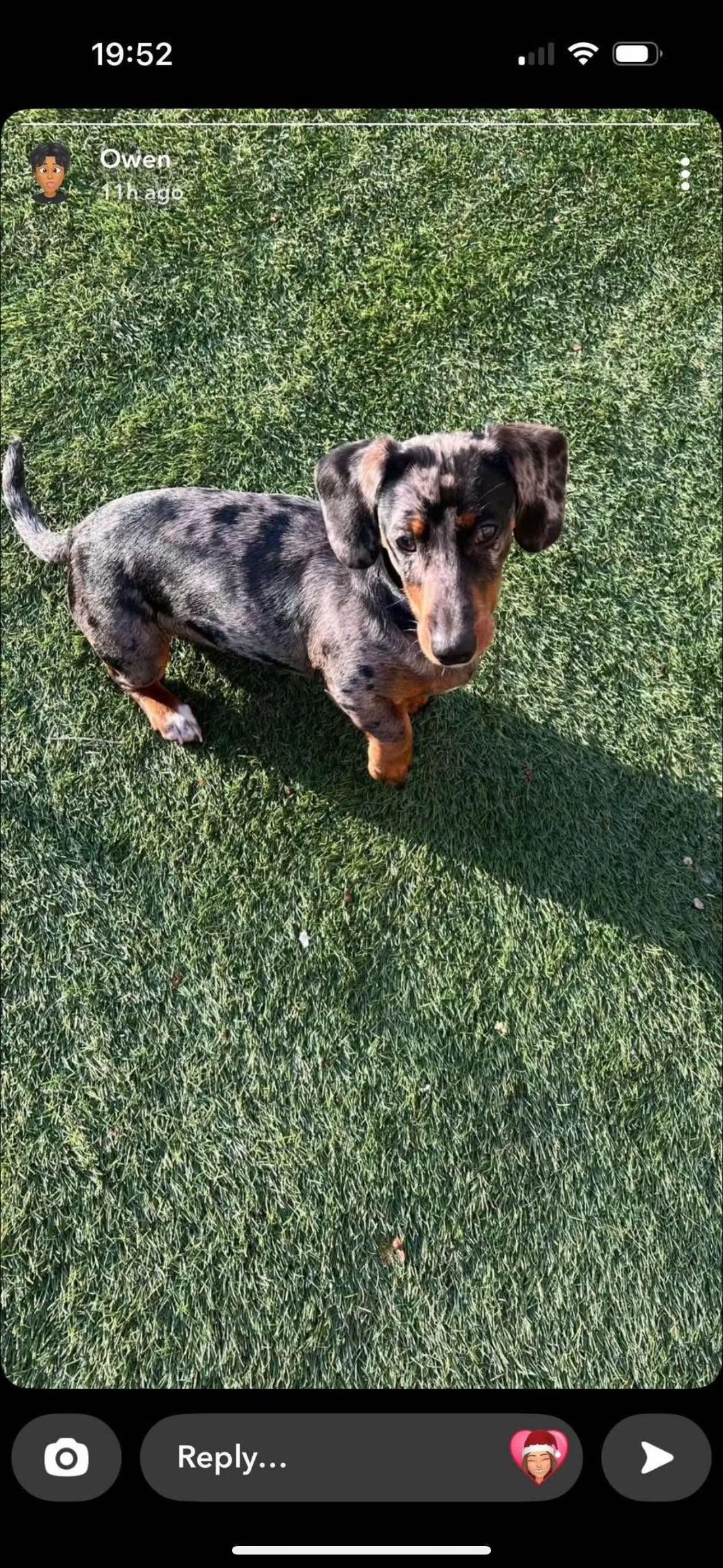 Nova - Dene Crescent, Carlisle