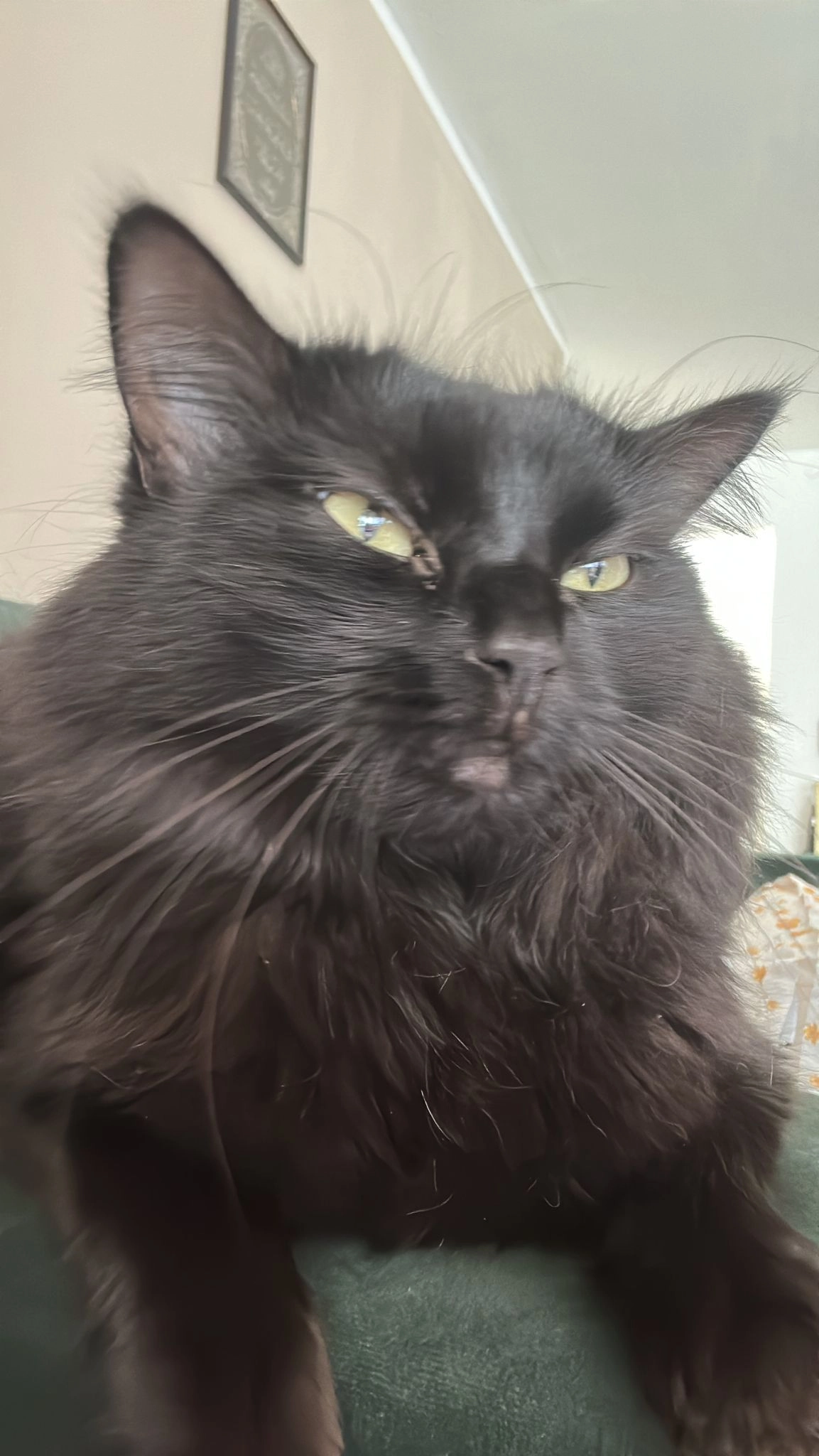 Tyson - Augustusstraße, Königsbrunn