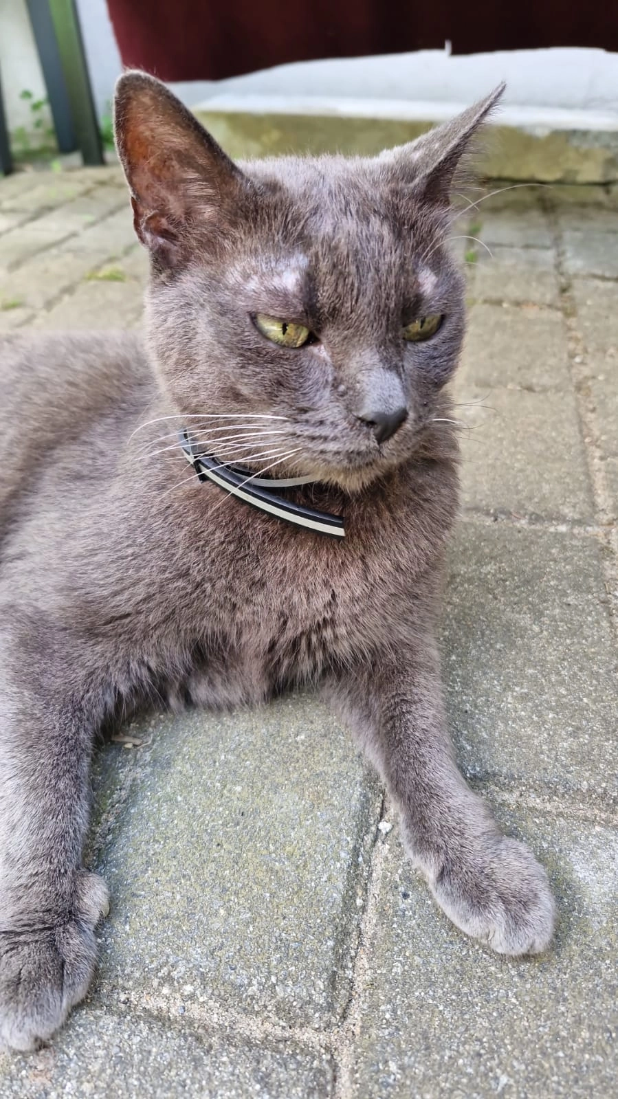 Felix - Am Poetenteich 11, Waldhufen