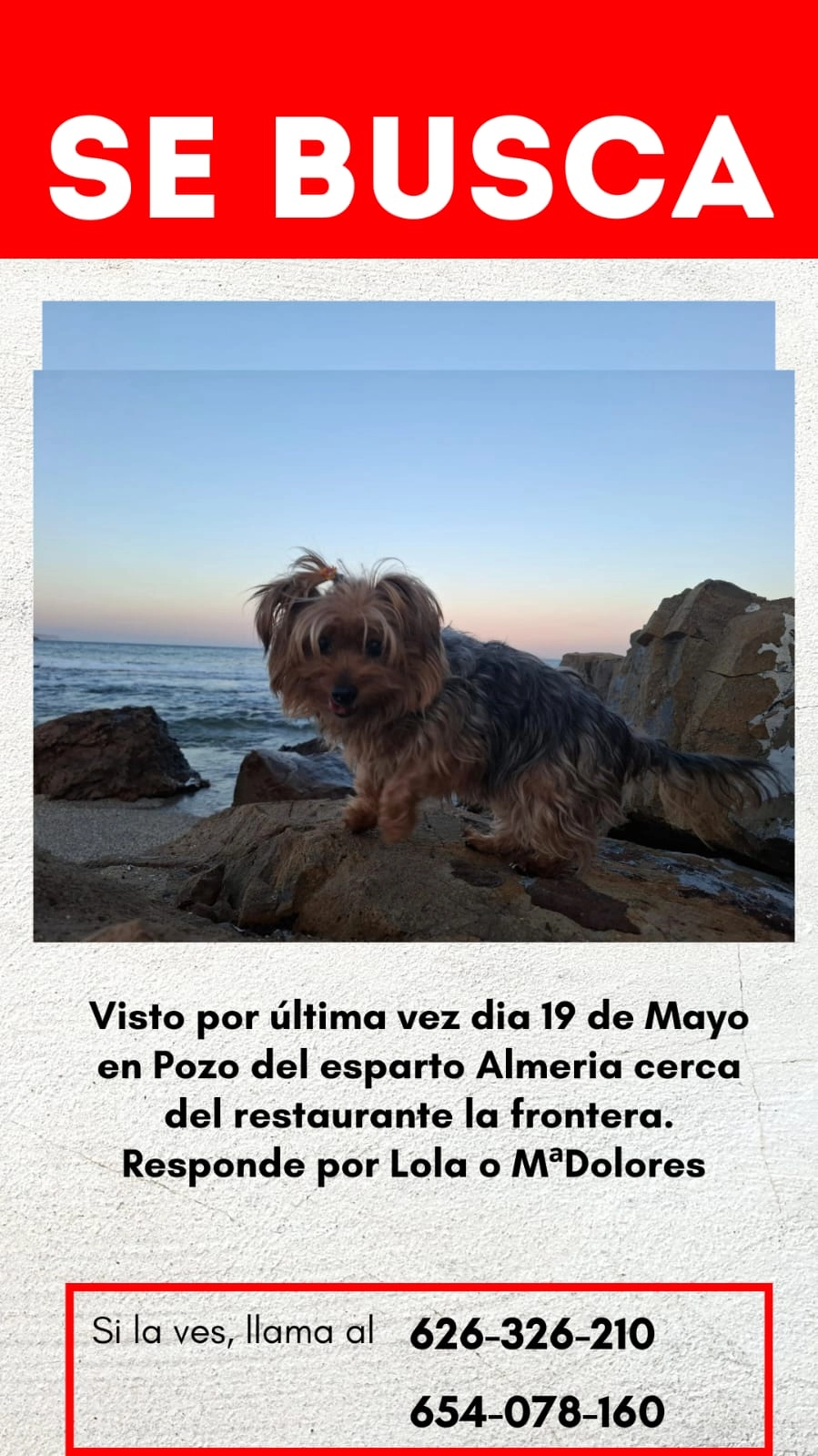 Lola - Paraje del Pozo del Esparto, Pulpí