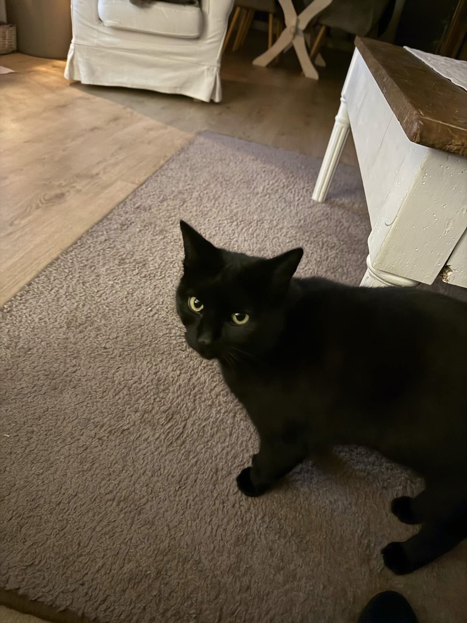 Tatoo - Rue De La Culée, Tellin