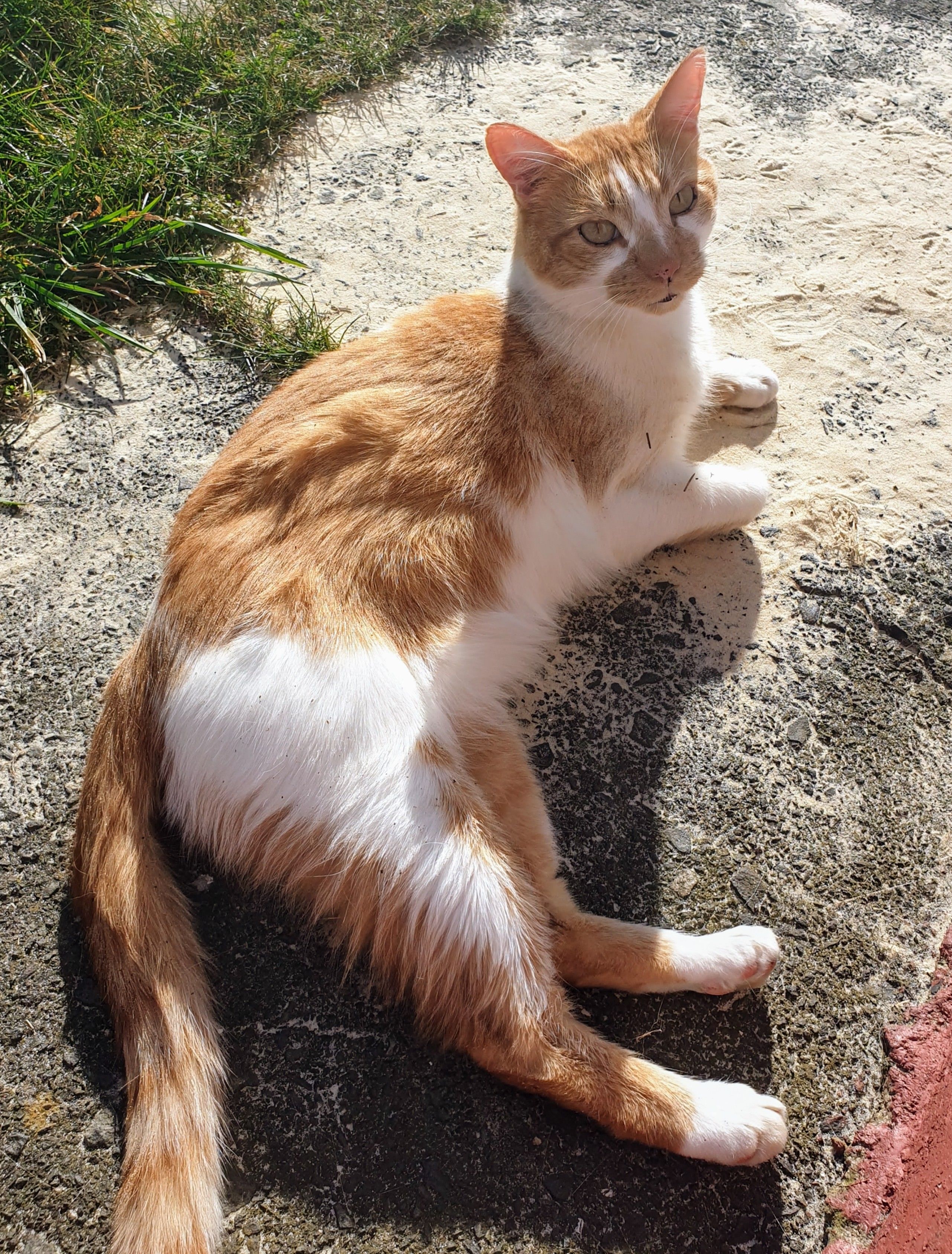 Zeus - Tyne Avenue, Consett