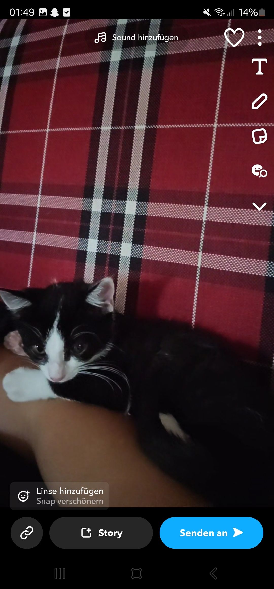 Alma - Hintere Schlossmauer, Pommersfelden