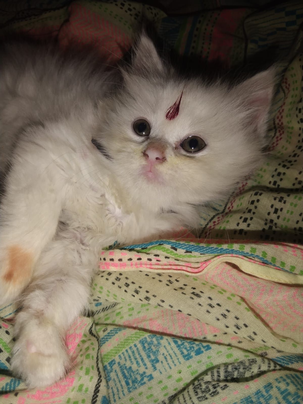 Max - Laxmi Nagar, Pune