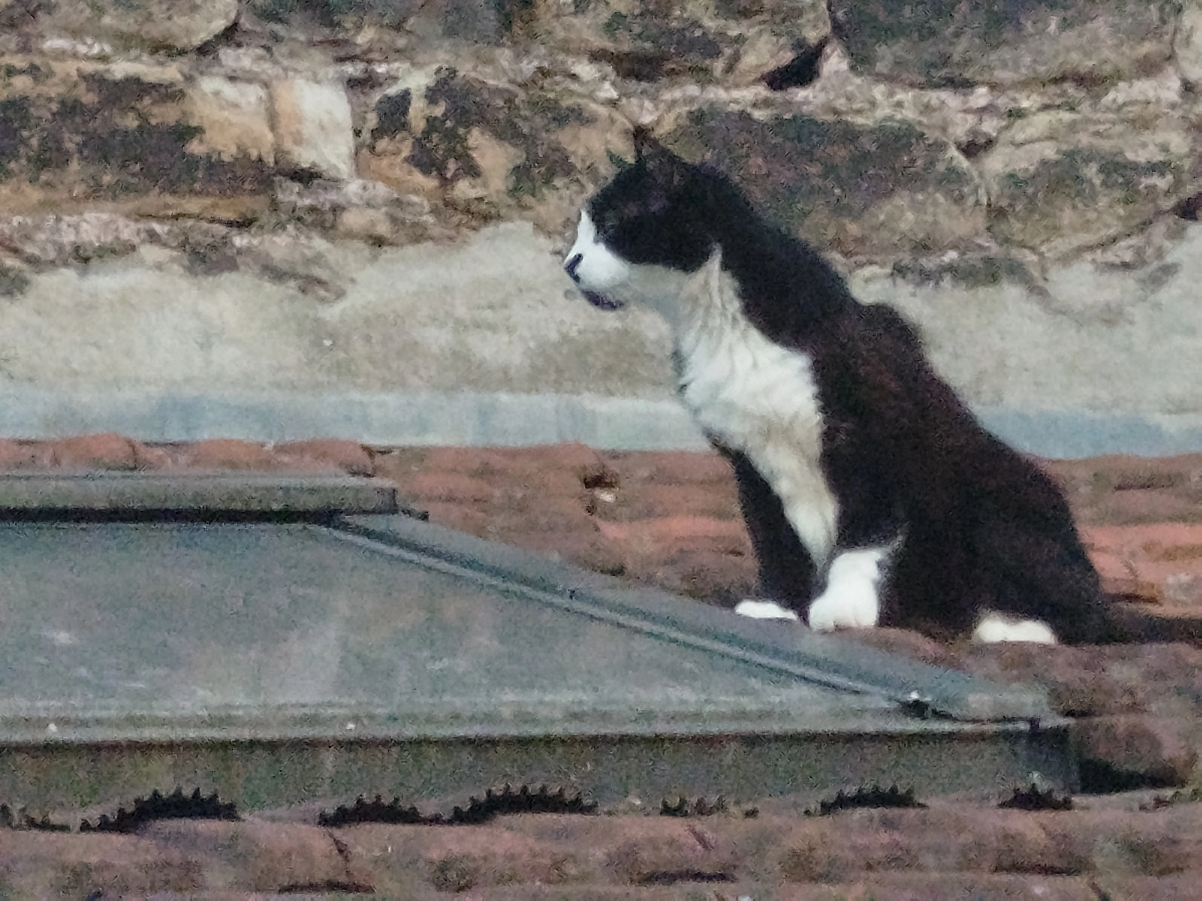 Gugus - 8 Rue Marceau, Firminy