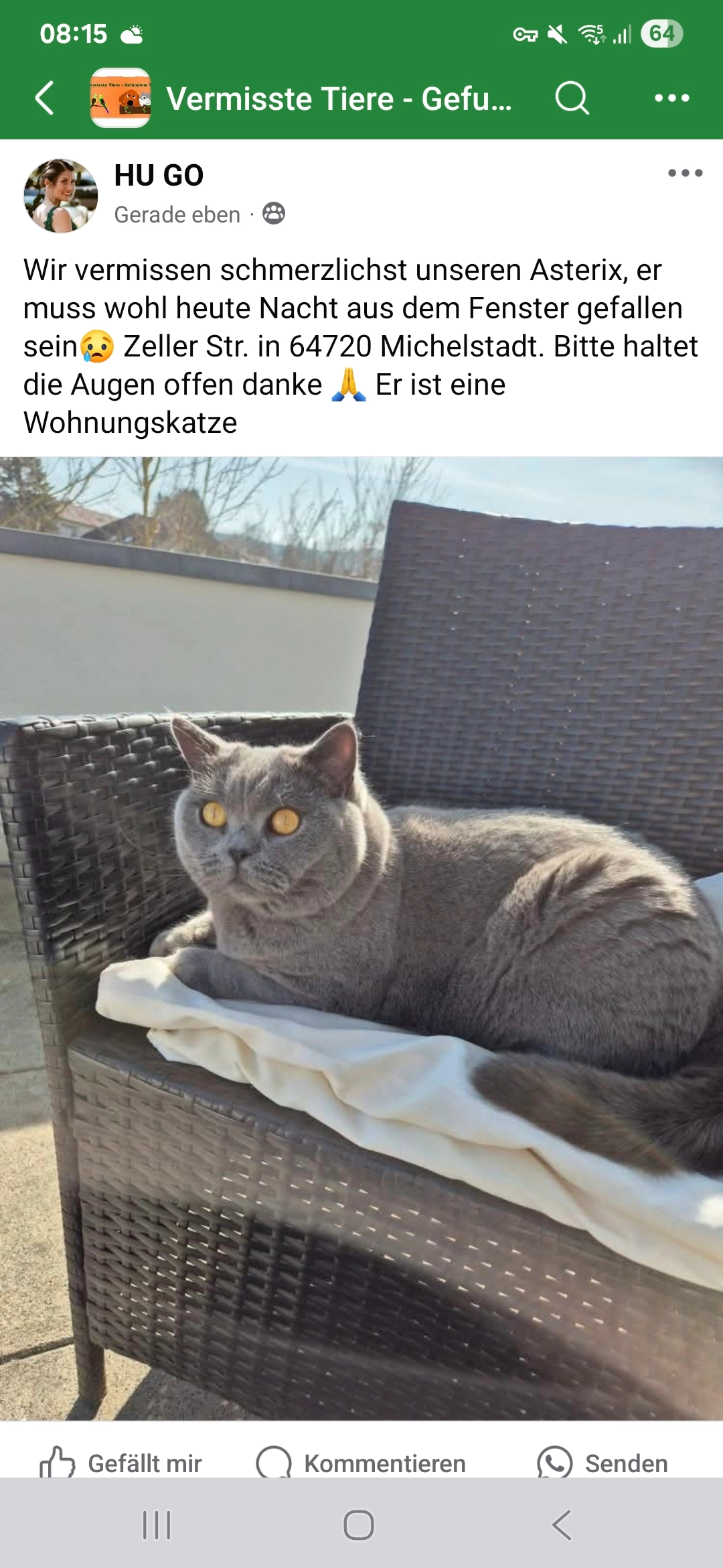 Asterix  - Zeller Straße, Michelstadt