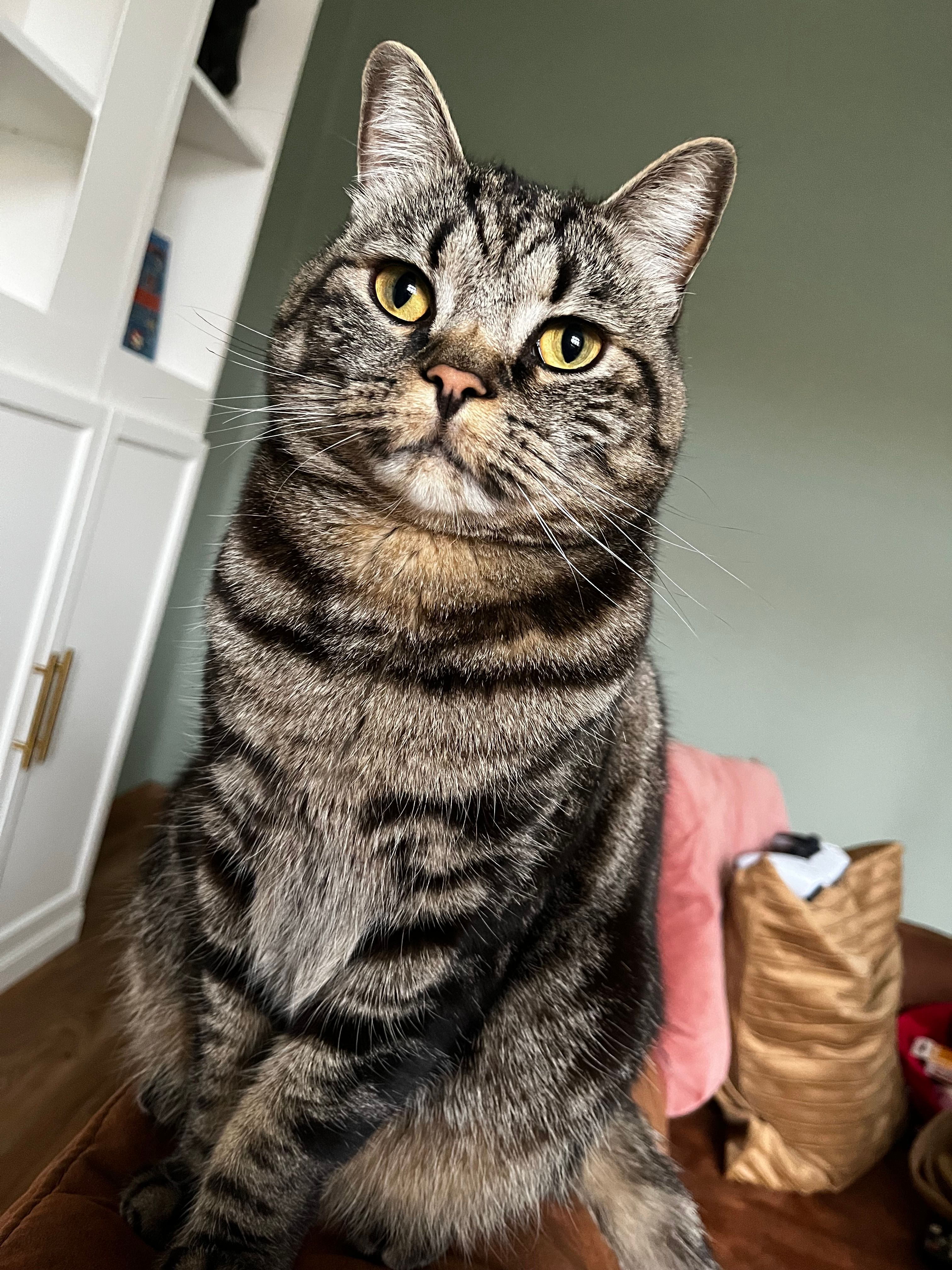 Kasimir  - Prinzenstraße, Stendal