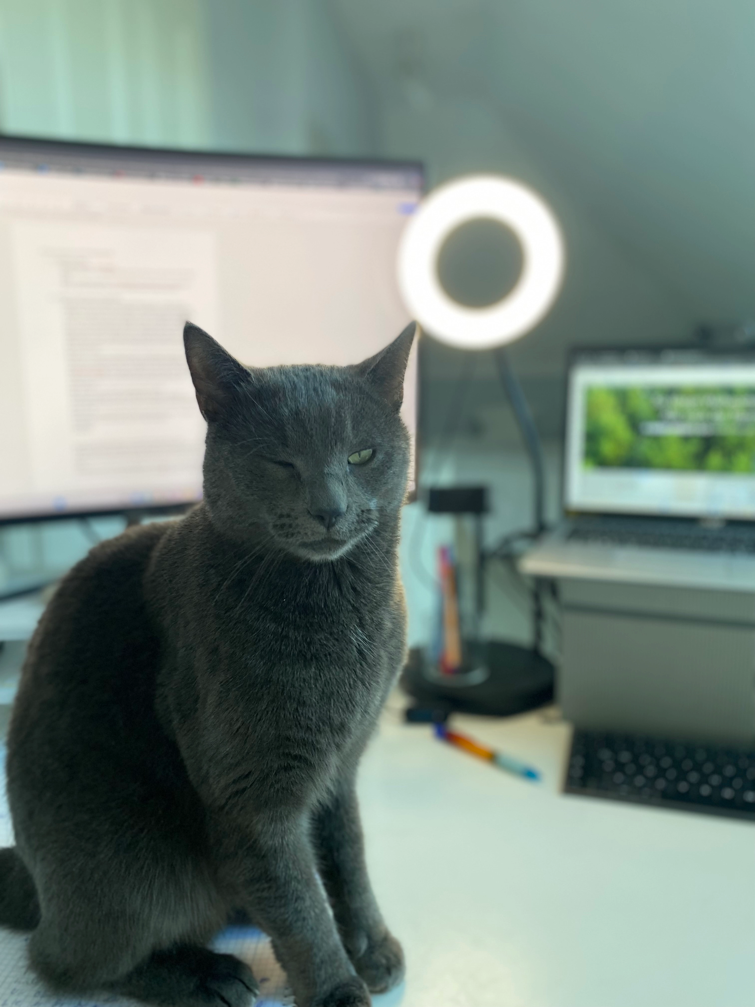 Conrad - Buchenweg, Bargteheide