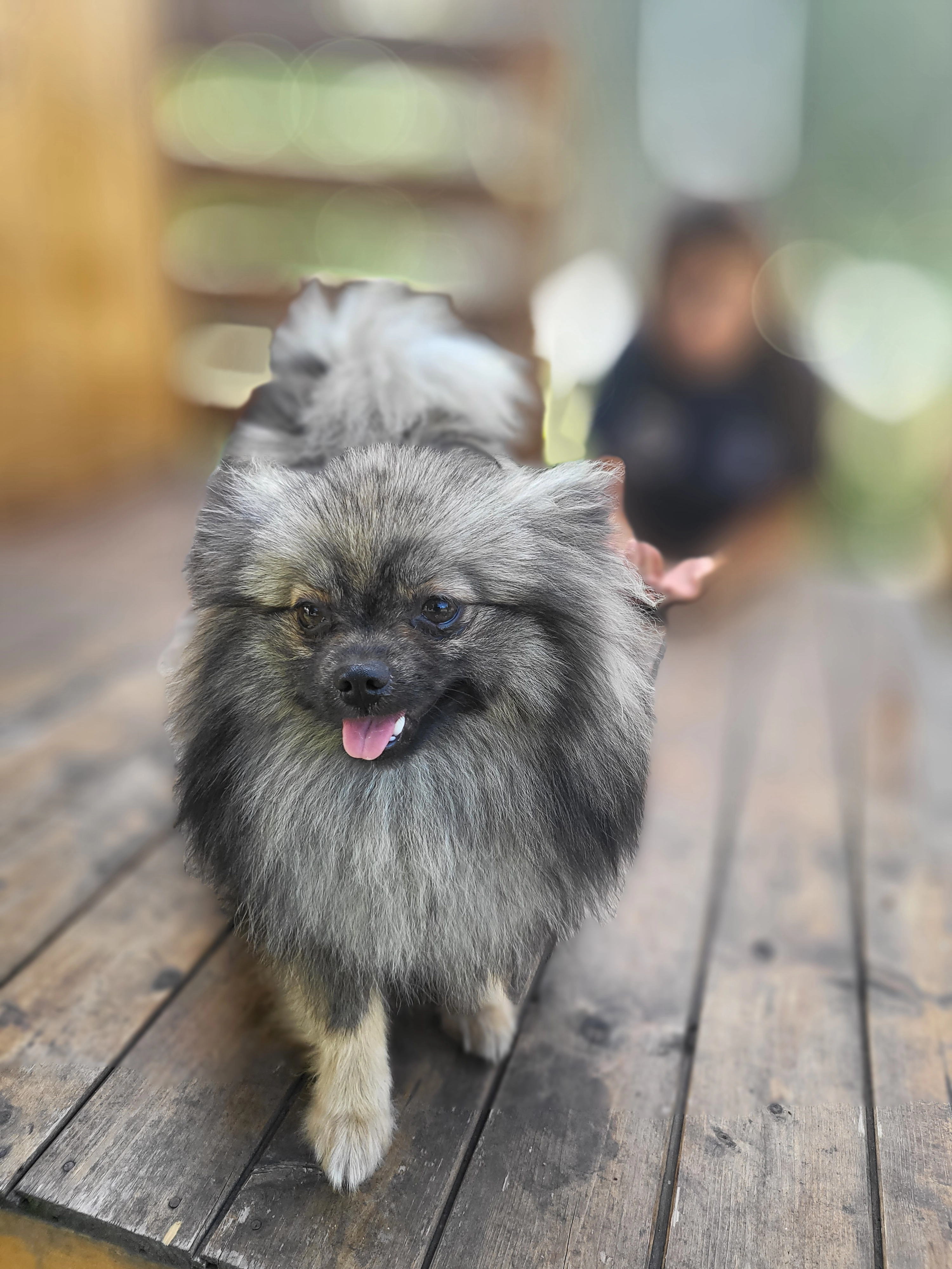 Dakota  - Chemin De L'île, Limay