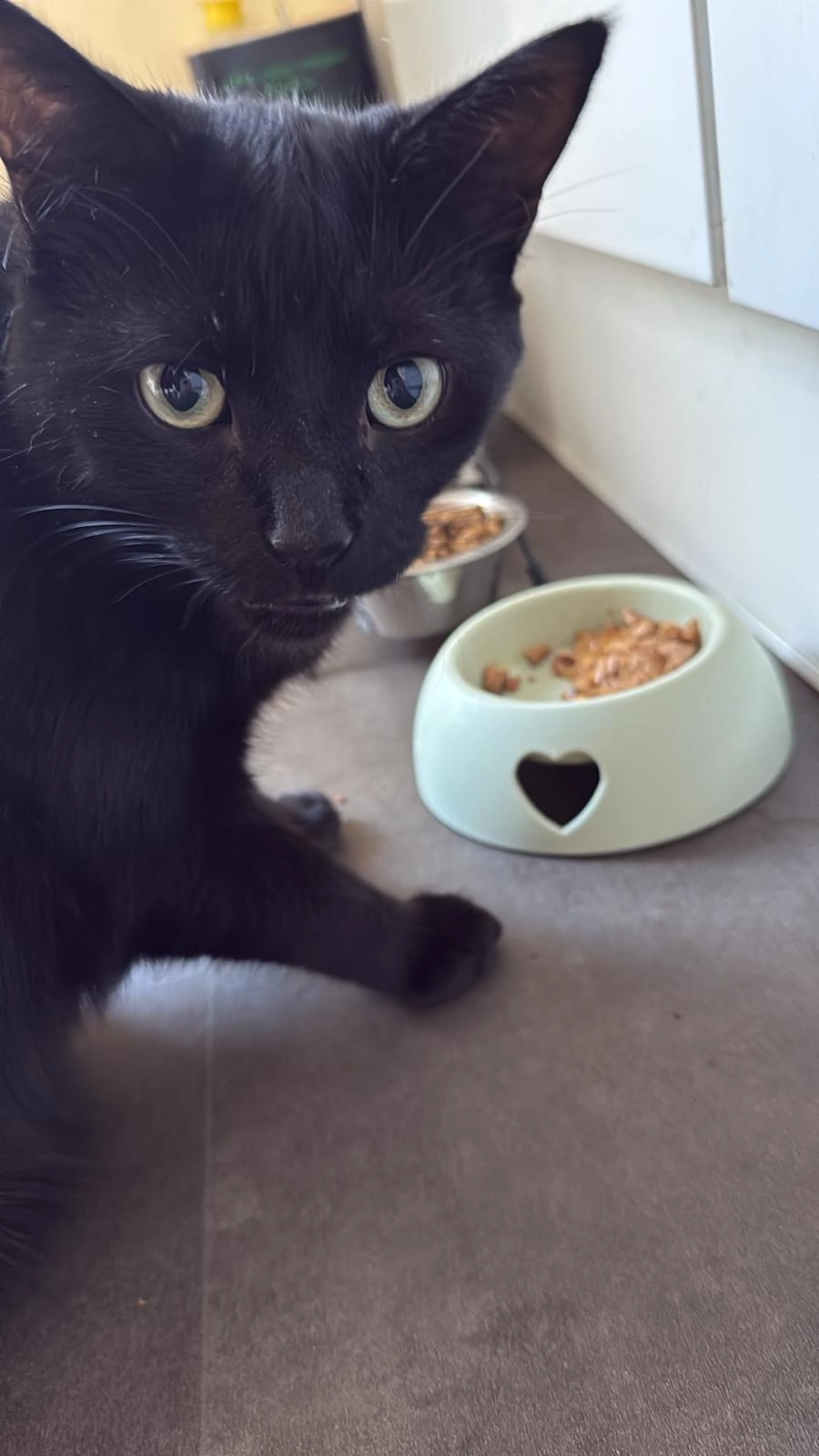 Vador - 9 Avenue du 6 Juin, Caen