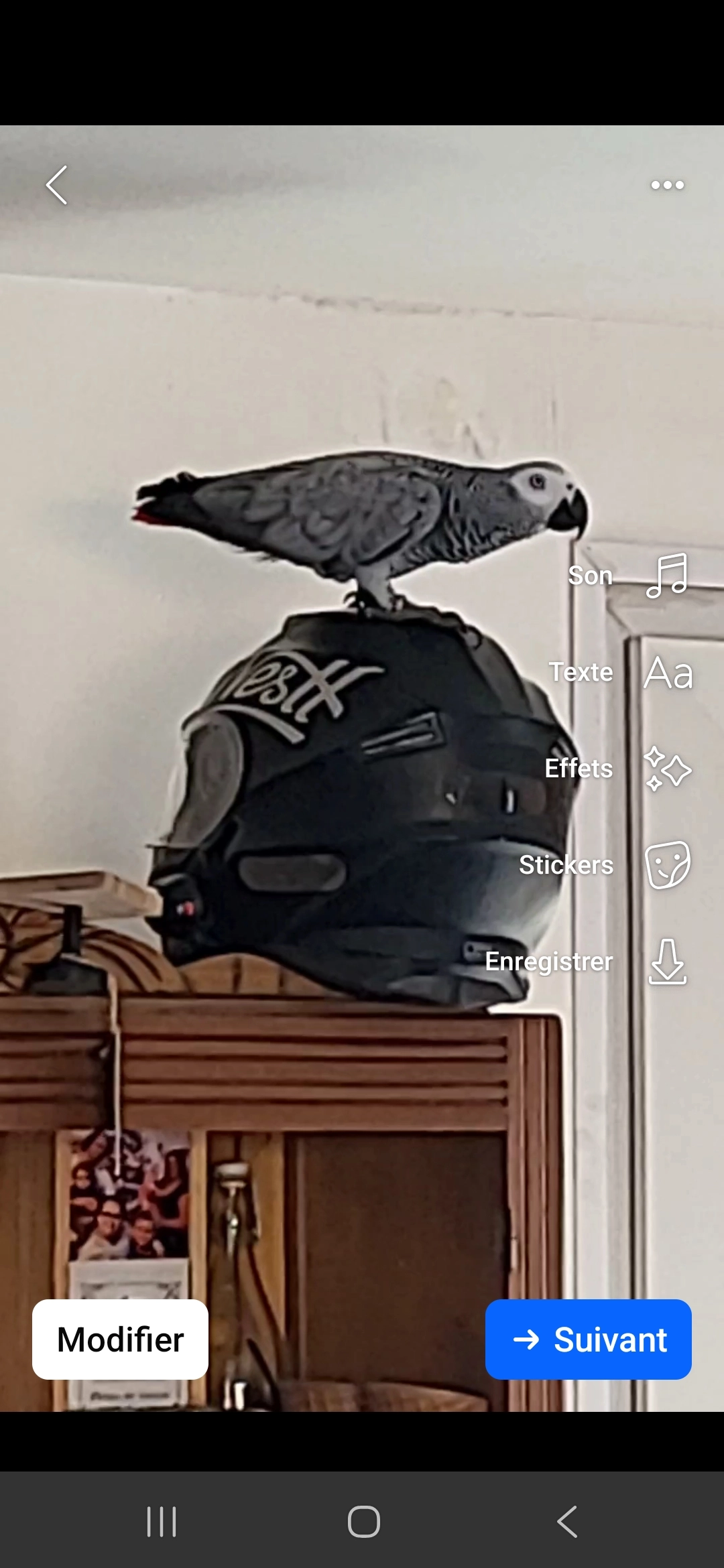 Pakita - Chemin des Vignes, Pia