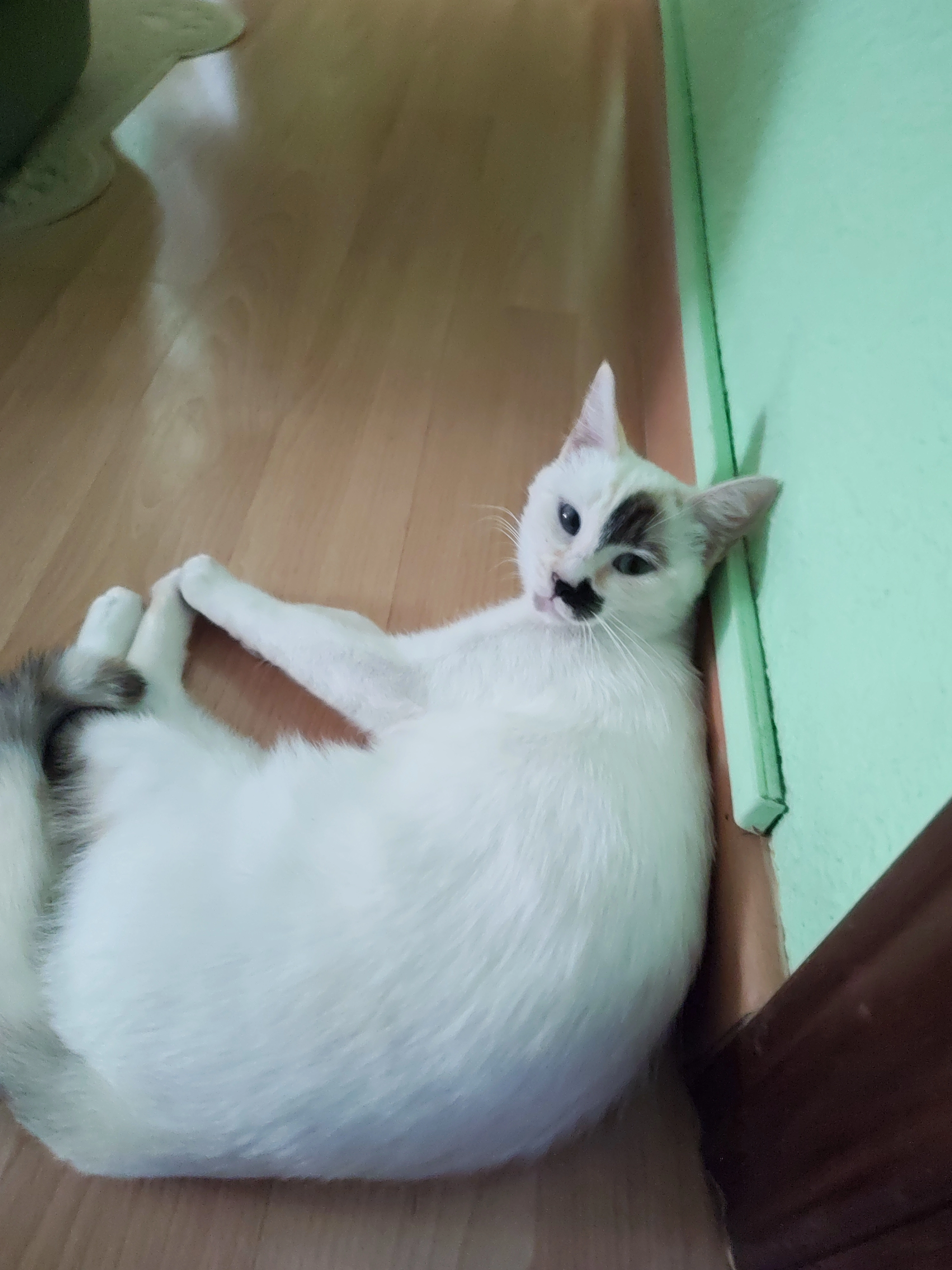 Basia - Calle Miguel De La Roca, Madrid