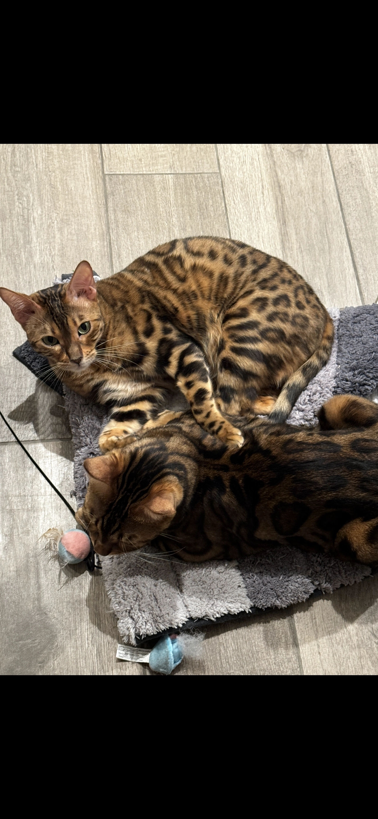 Nala - Lindenweg 3, Sauerlach