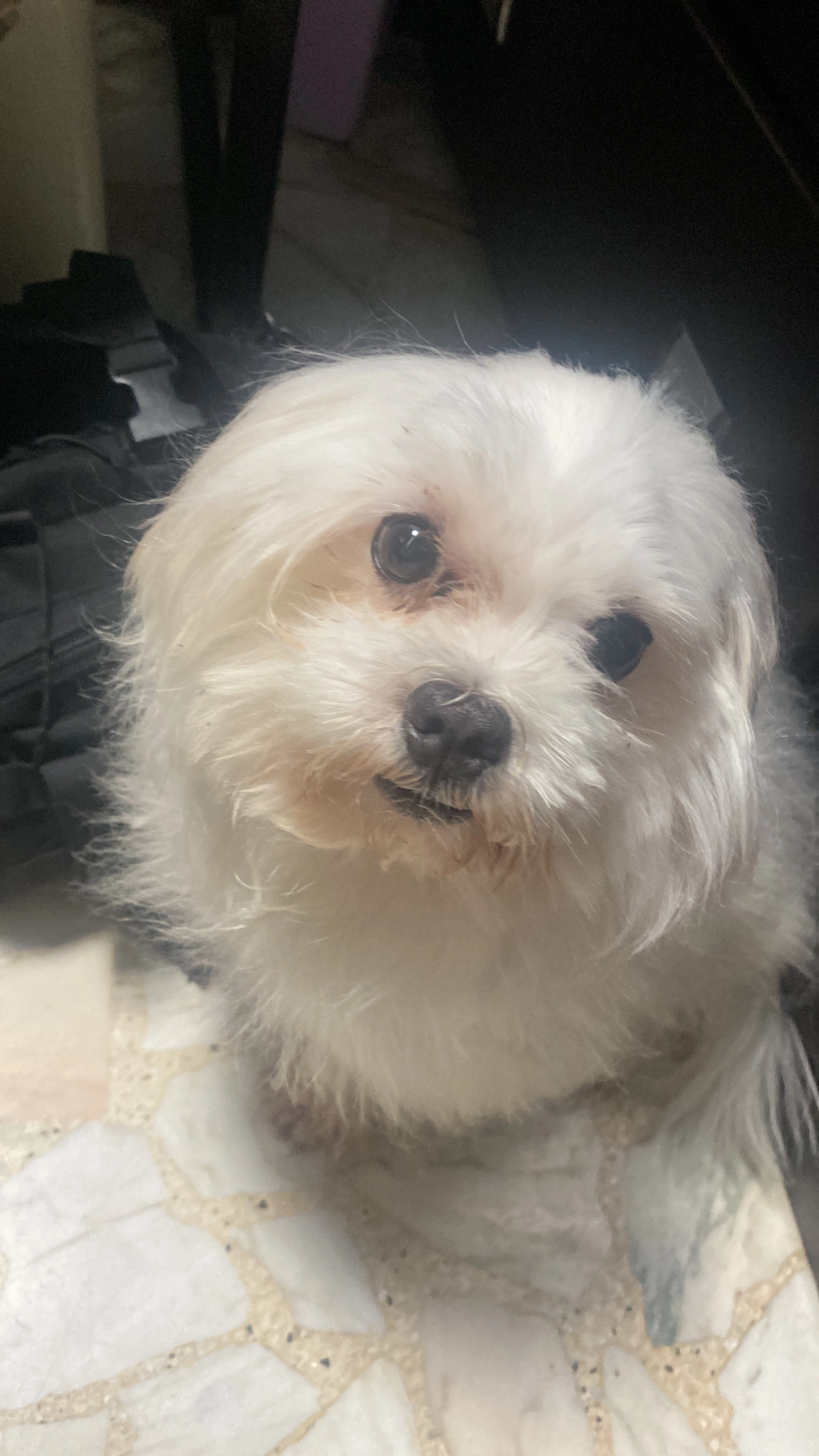 Lele - 270015, Singapore