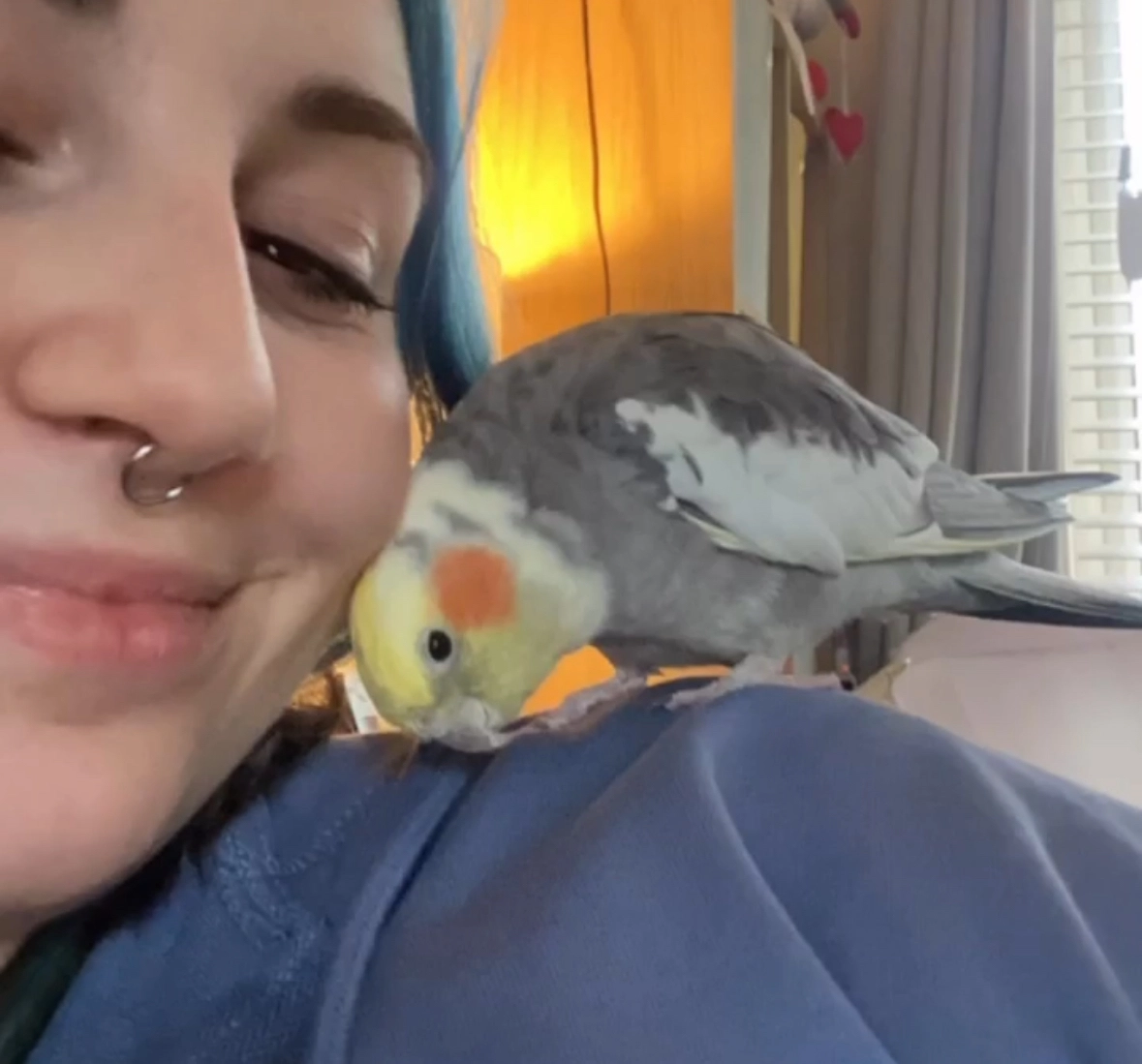 Bert - Orchard Way, Nuneaton