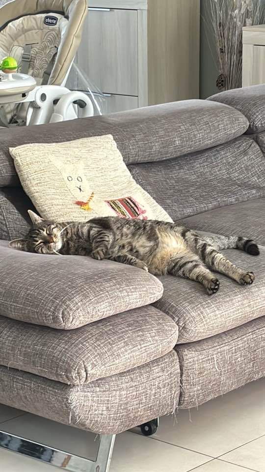 Uby - Rue Du Bois De Pimont, Meulers