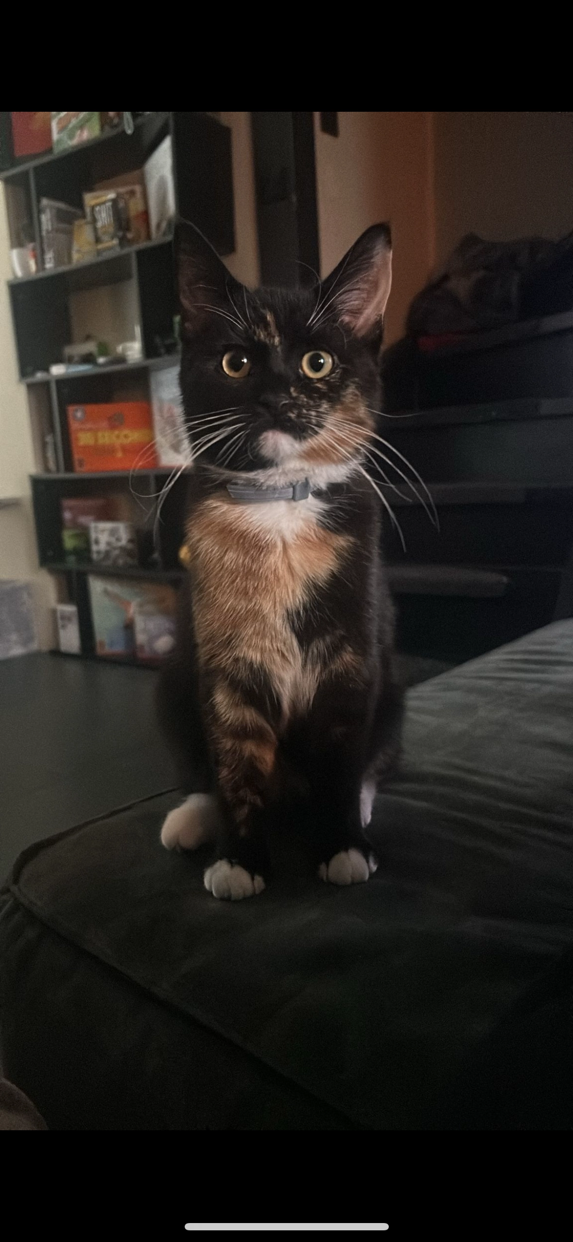 Ino - Vlamingstraat, Den Helder