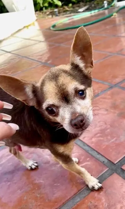 Sam - SW 125th Ct, Miami