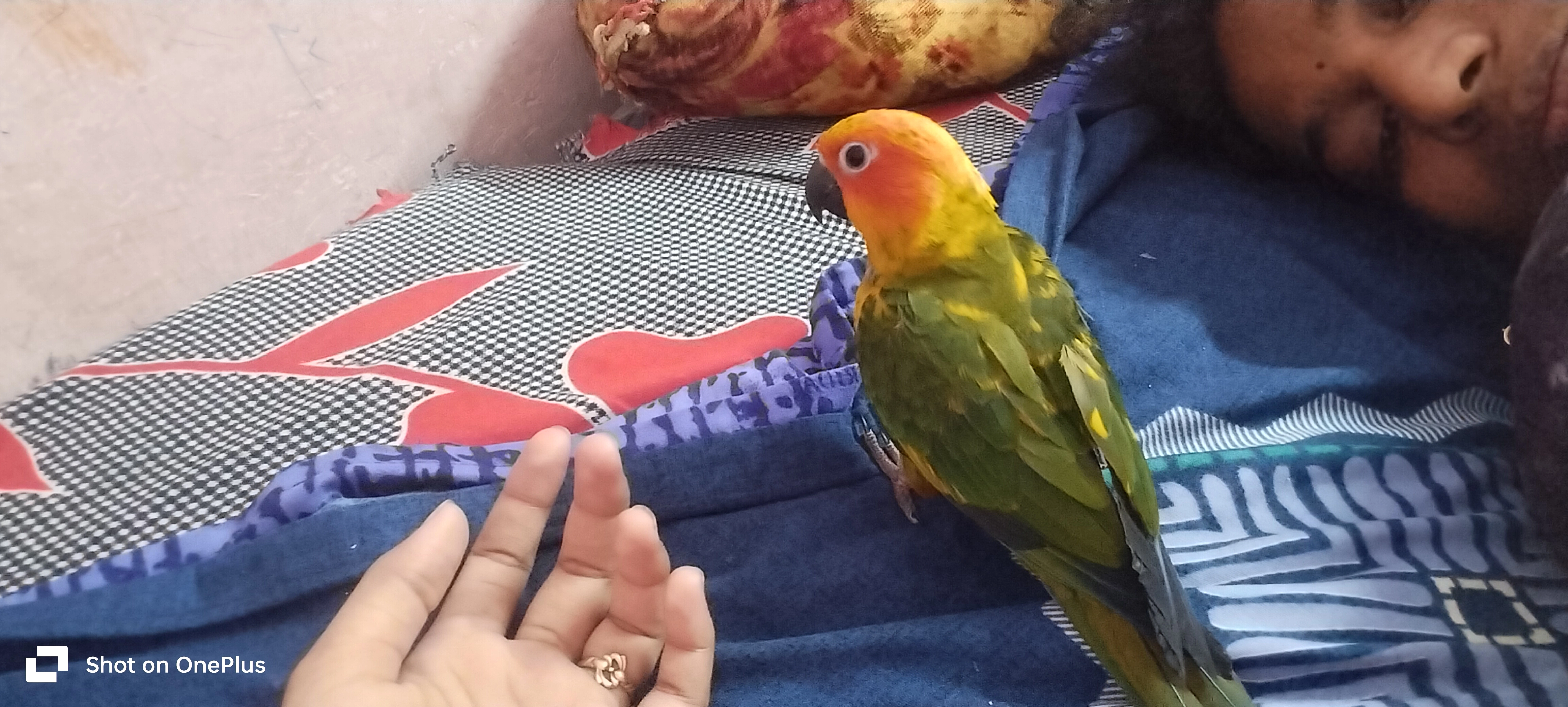 Mini - Cheran Nagar, Coimbatore