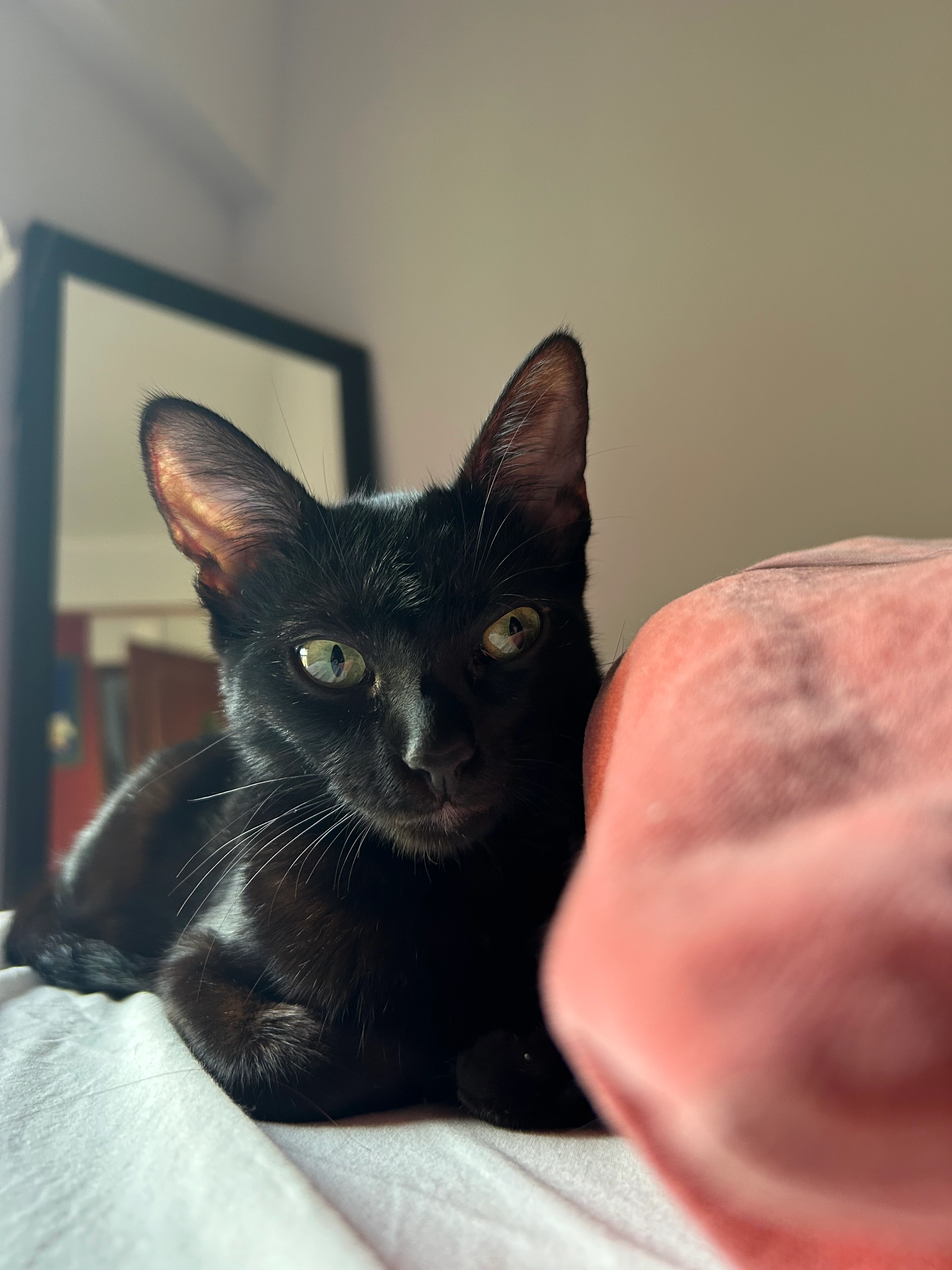 Princess - Rua Miguel Torga, Costa da Caparica