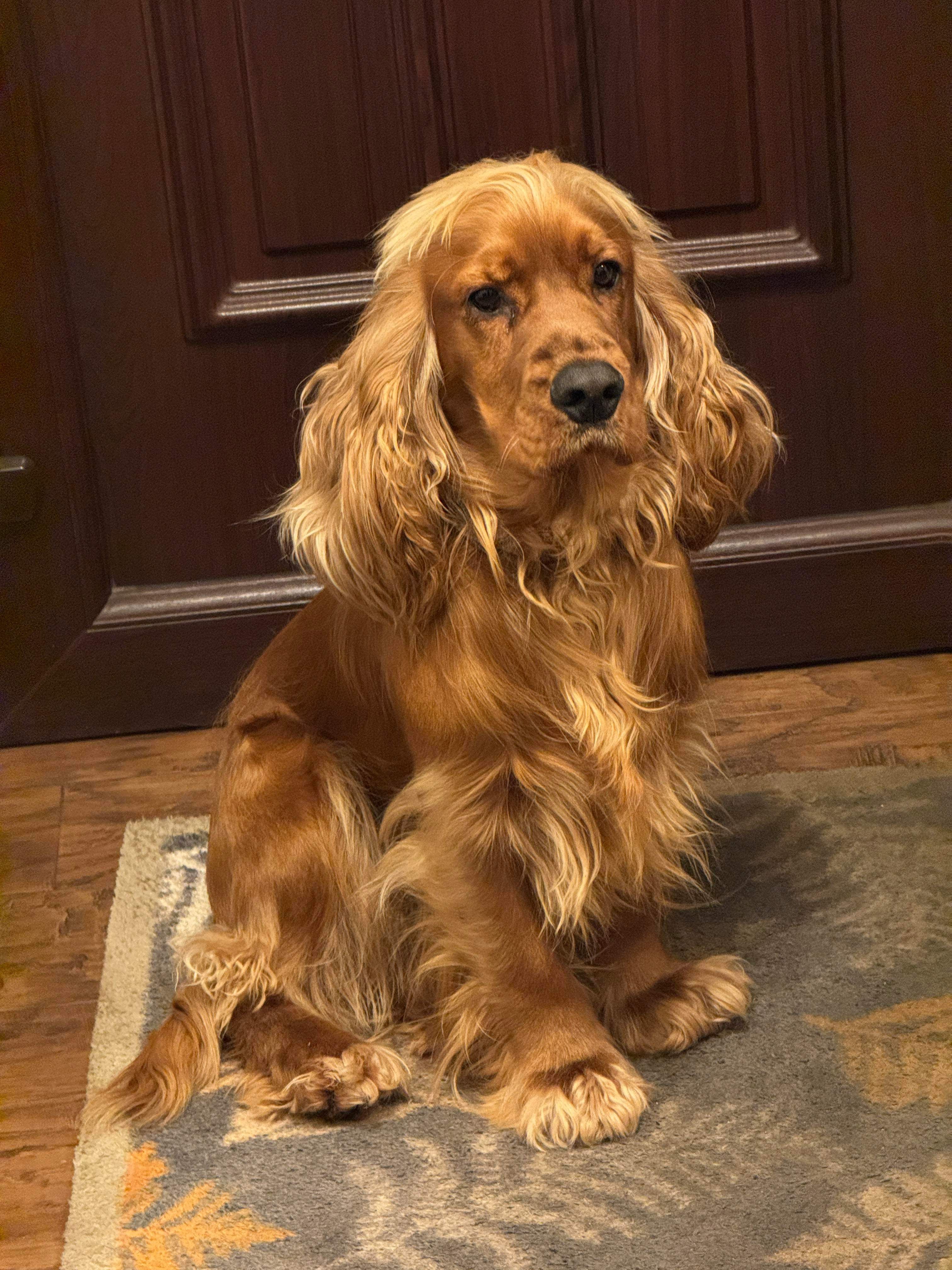 Stanley - Campsall Road, Doncaster