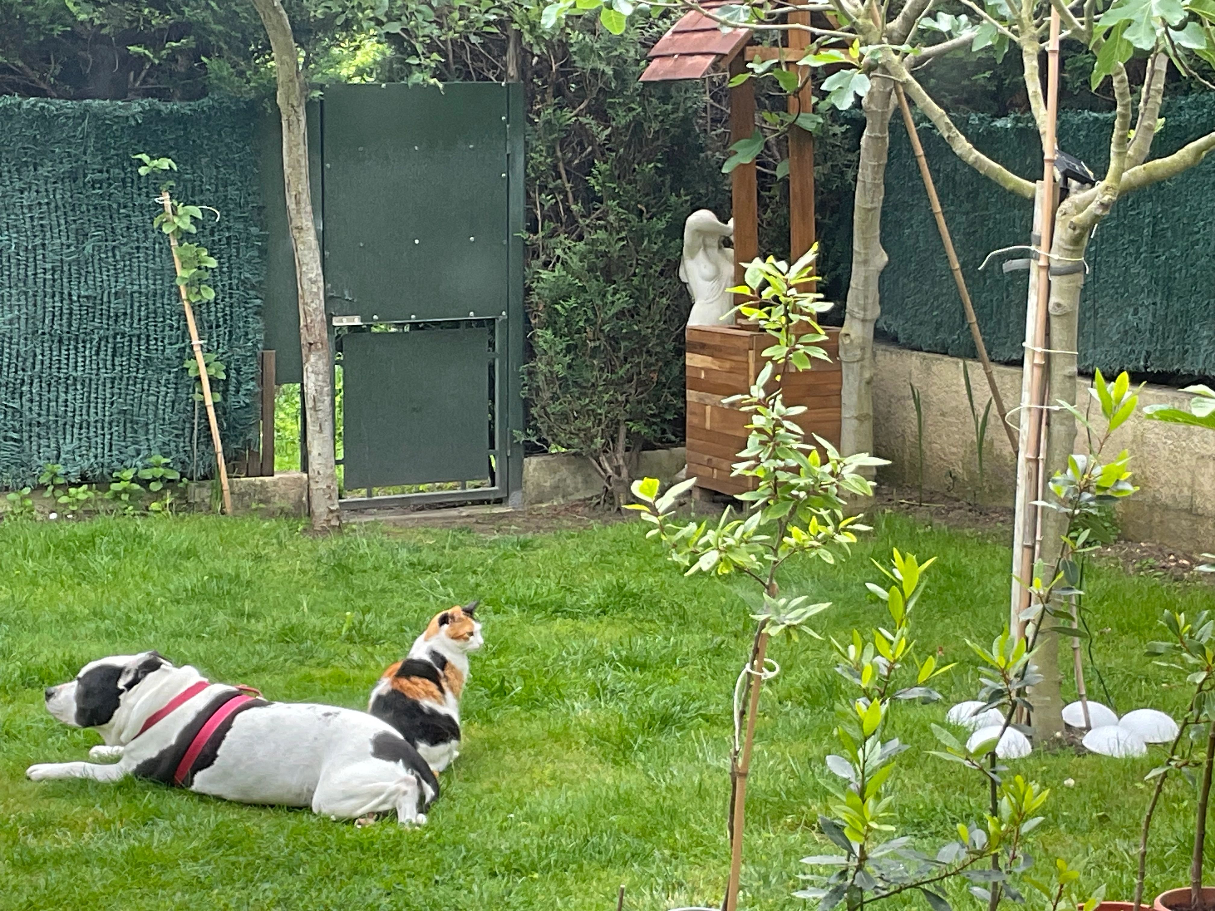 Mimi - Rue Louis Moreau, Étampes