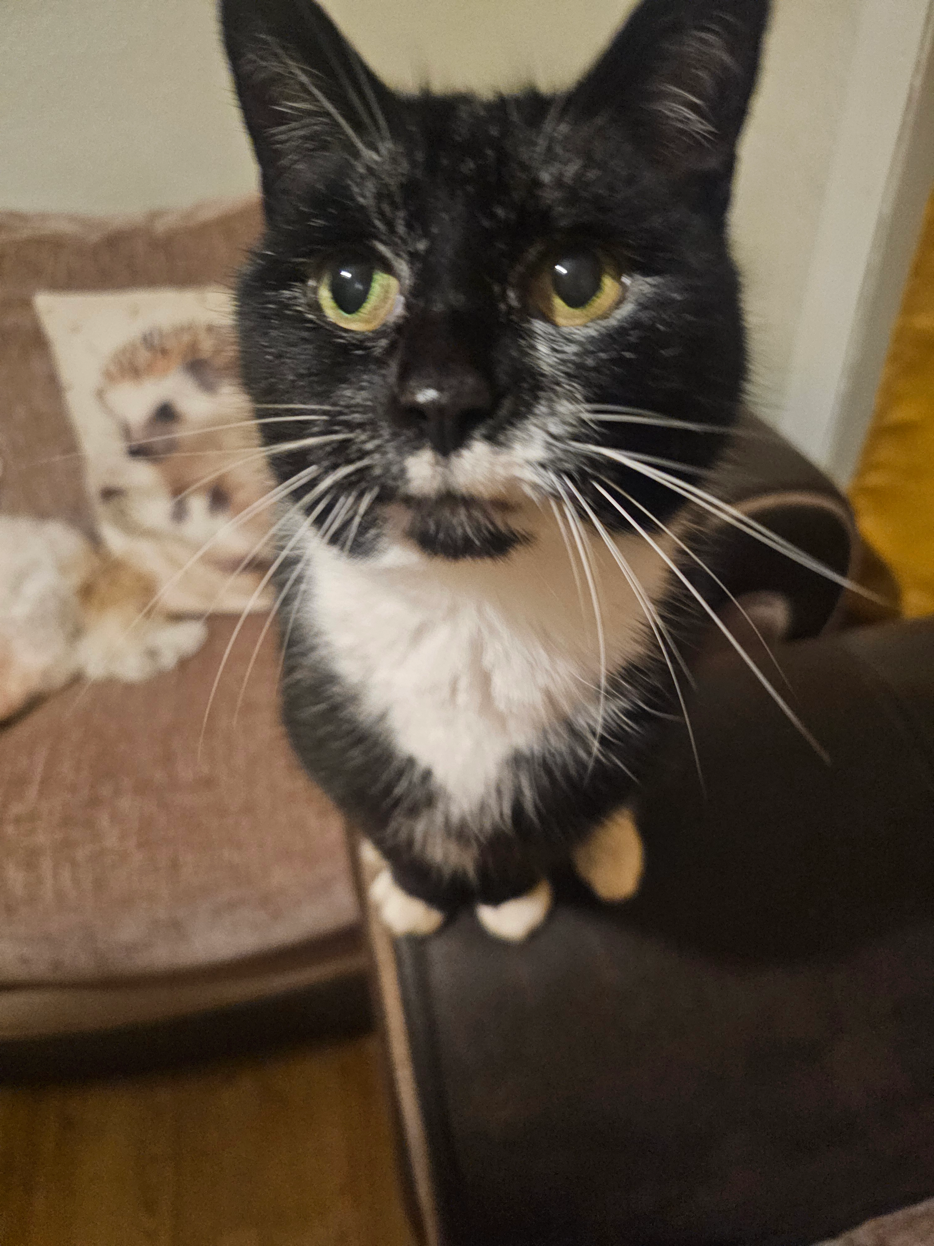 LILLIE - Church Road, Southampton