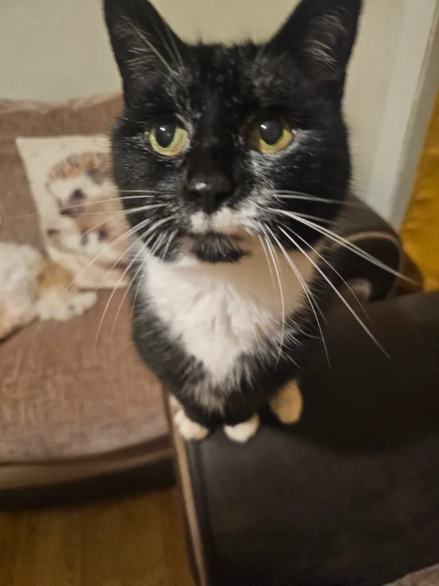 LILLIE - Church Road, Southampton