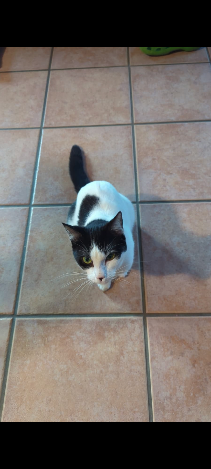 Salt - Langer Berg, Groß Twülpstedt