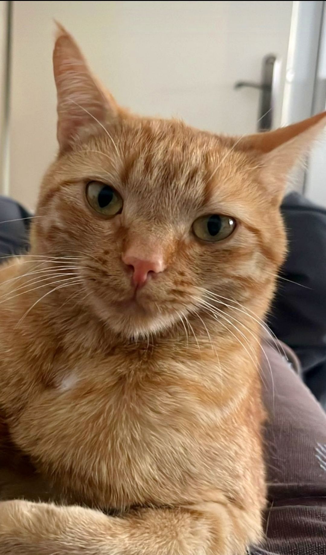 Mia - Biberacher Straße, Ochsenhausen