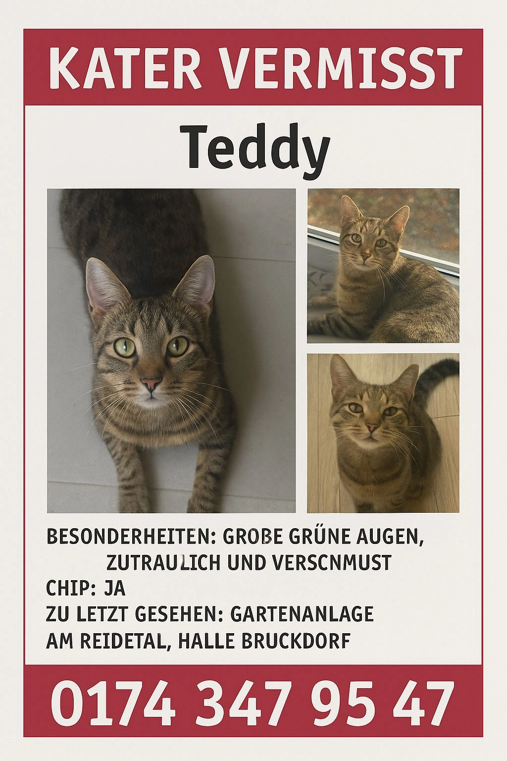 Teddy - Gießerstraße, Halle