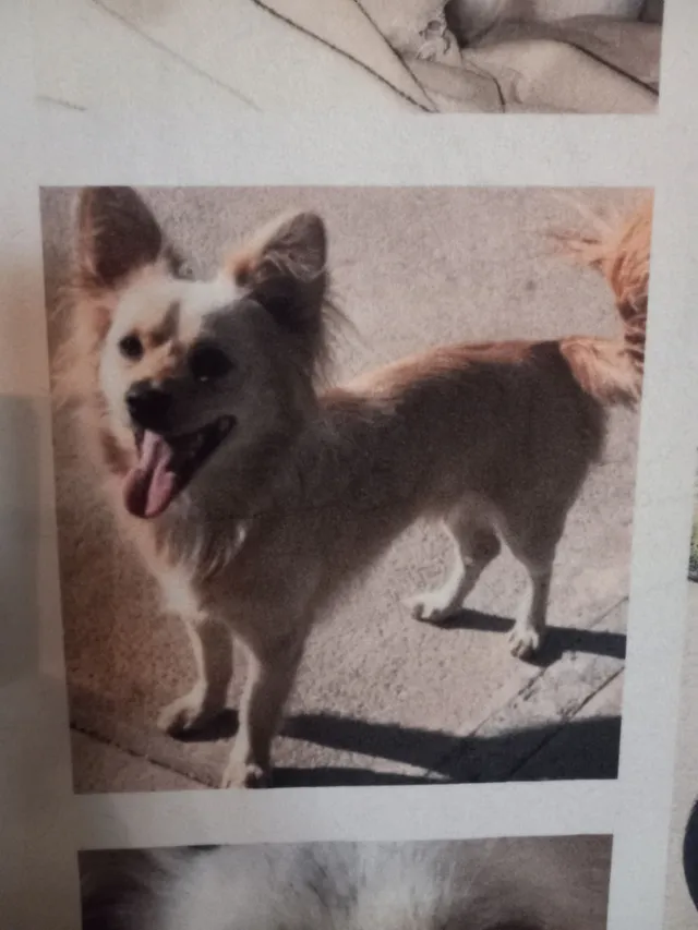 Baby - 25089 Alpha St, Moreno Valley