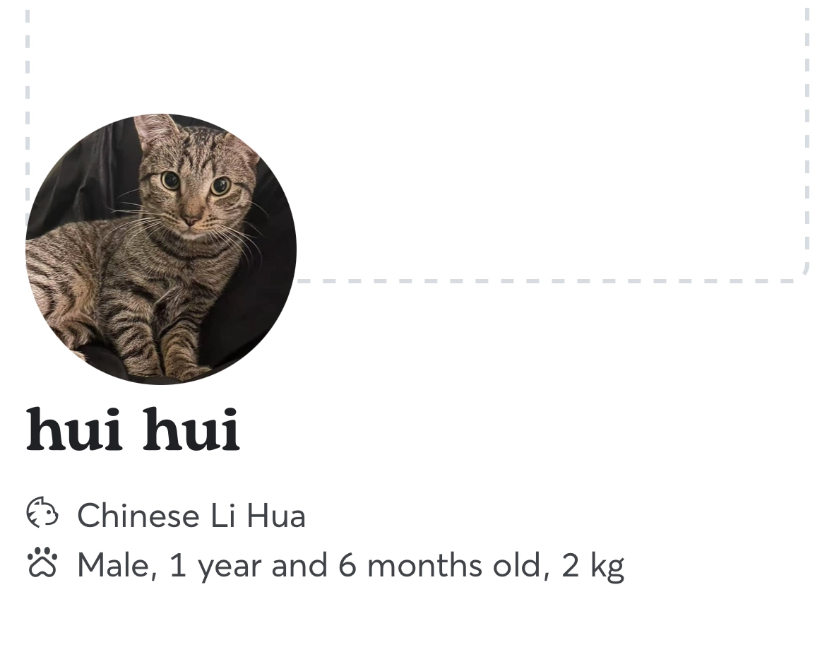 Hui hui - Edward Street, Brighton